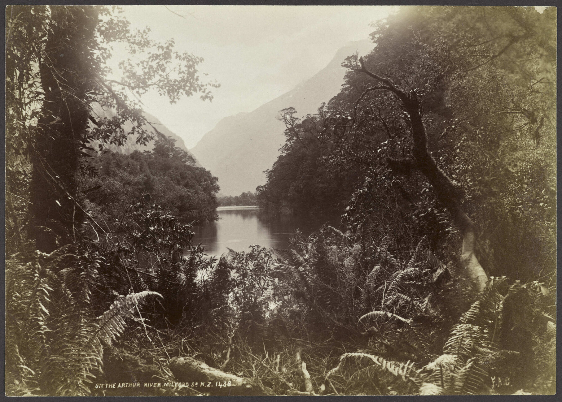 On the Arthur River, Milford Sound N.Z.