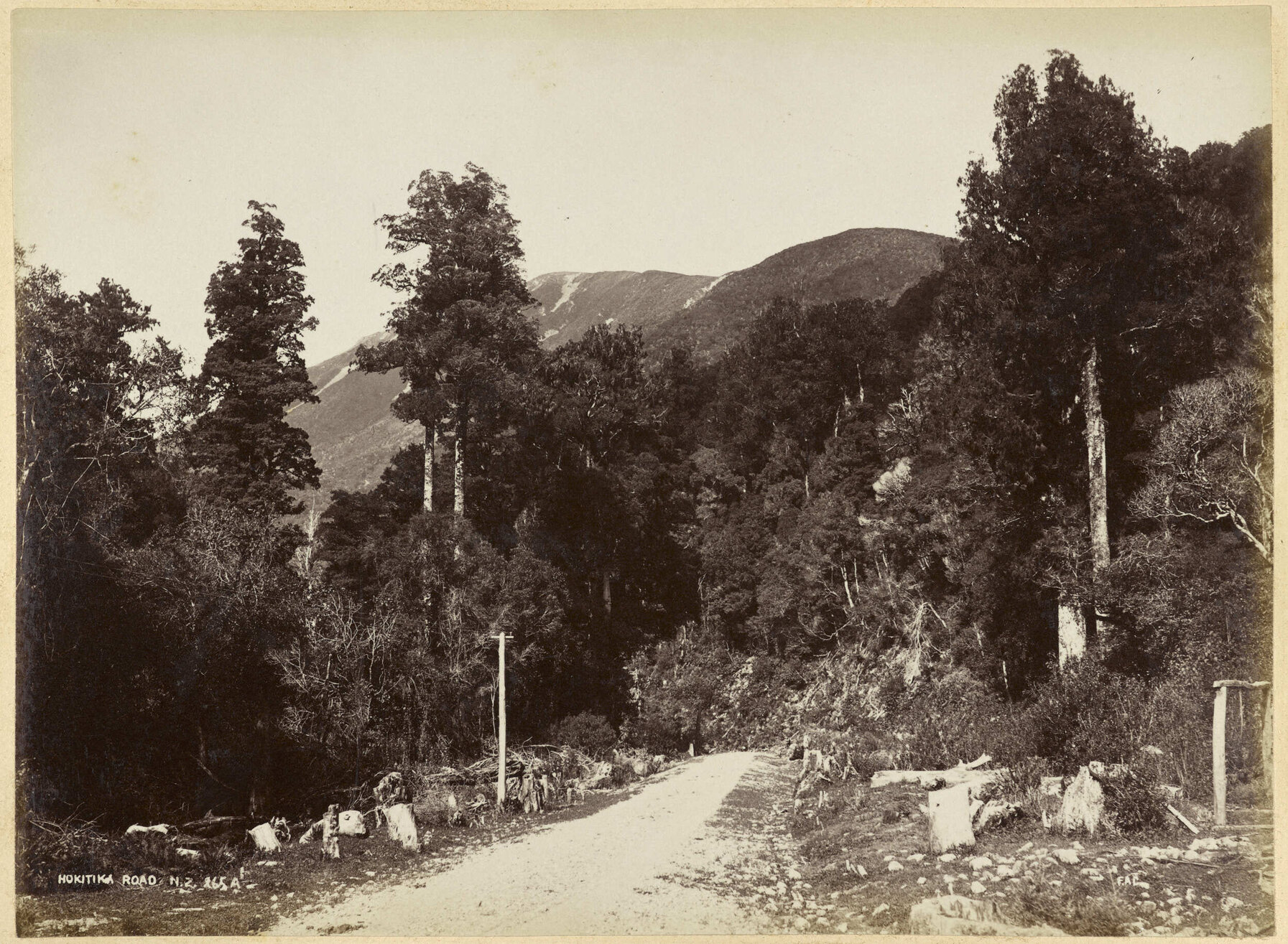 Hokitika Road N.Z.