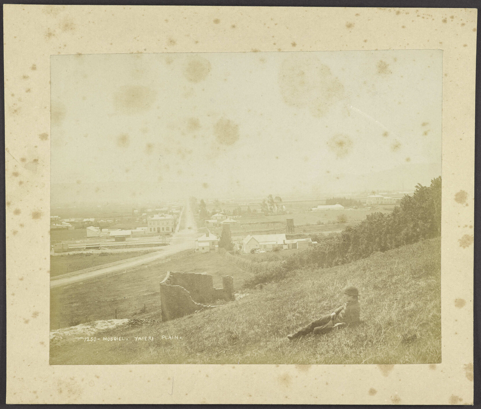 Mosgiel, Taieri Plain
