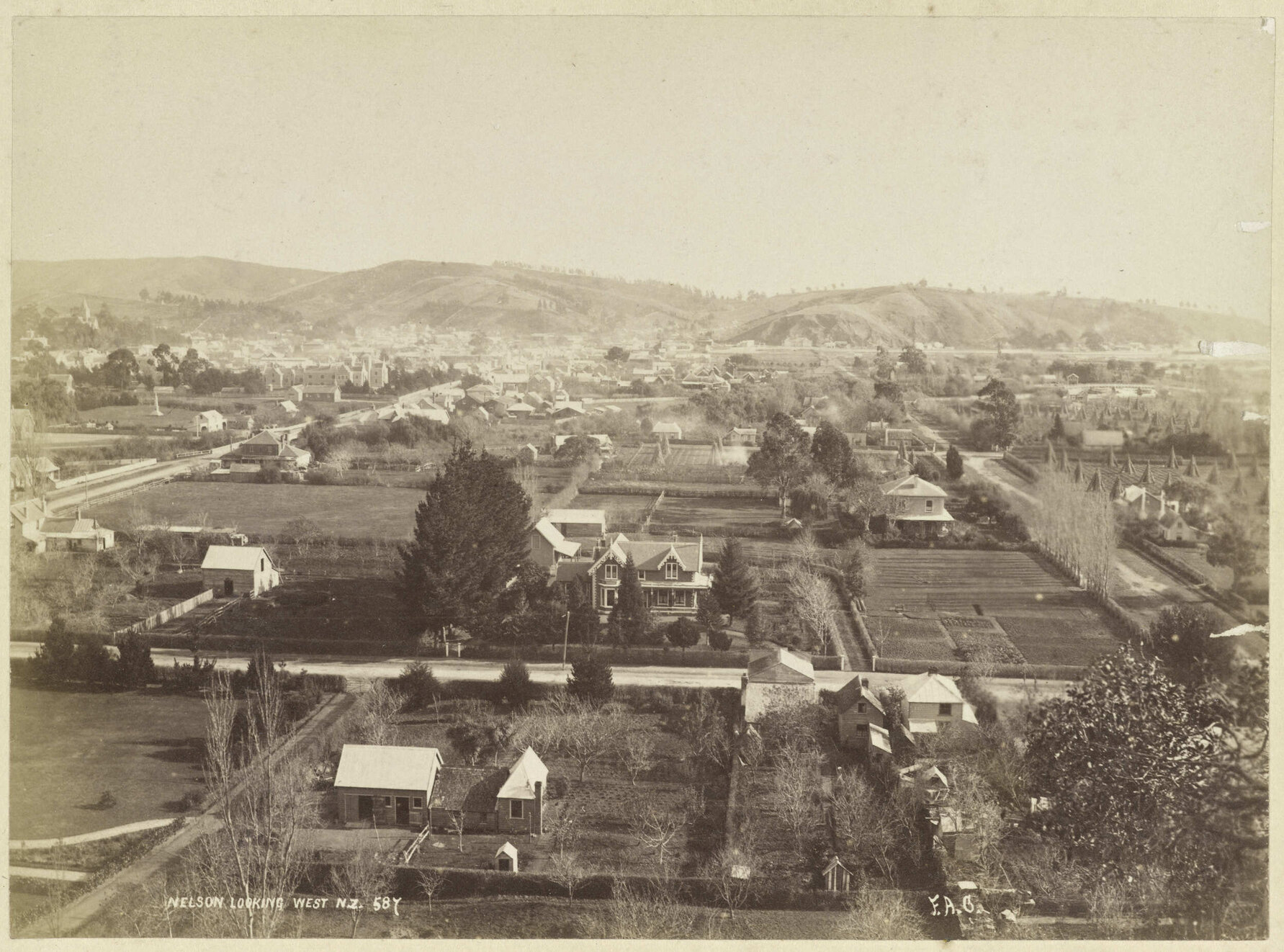 Nelson, Looking West