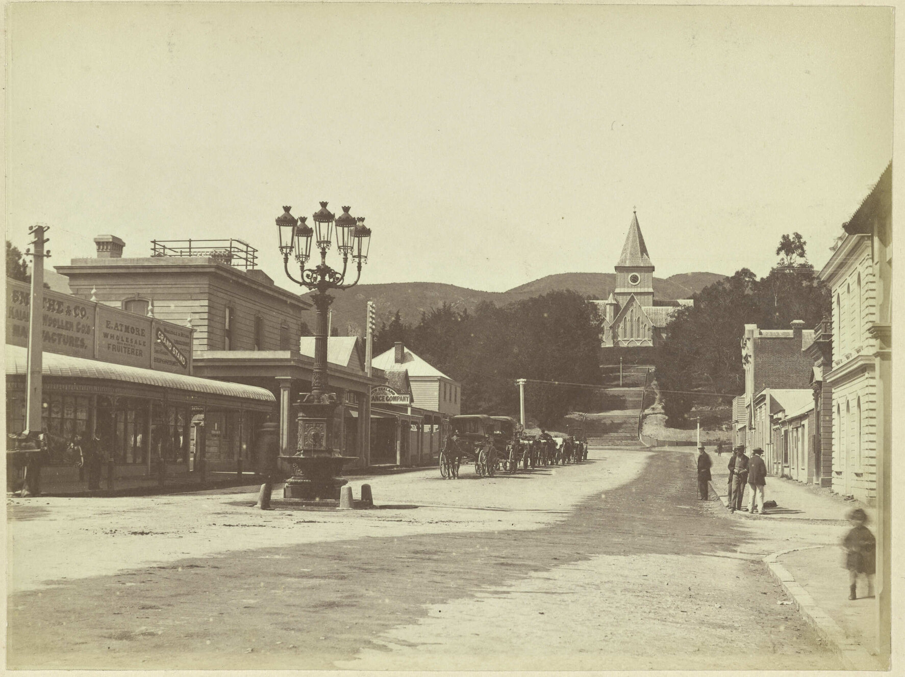 Nelson N.Z.