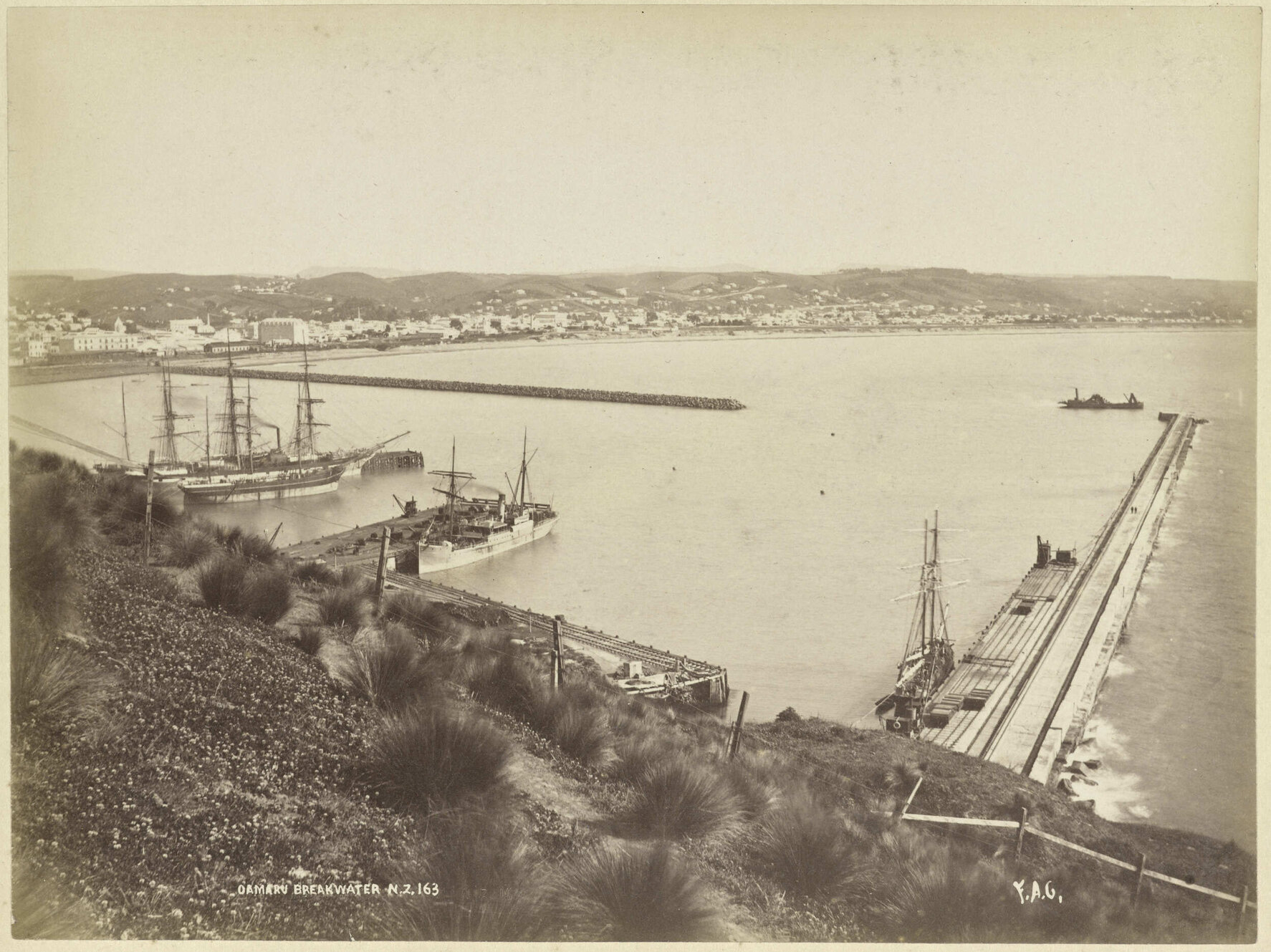 Oamaru Breakwater N.Z.