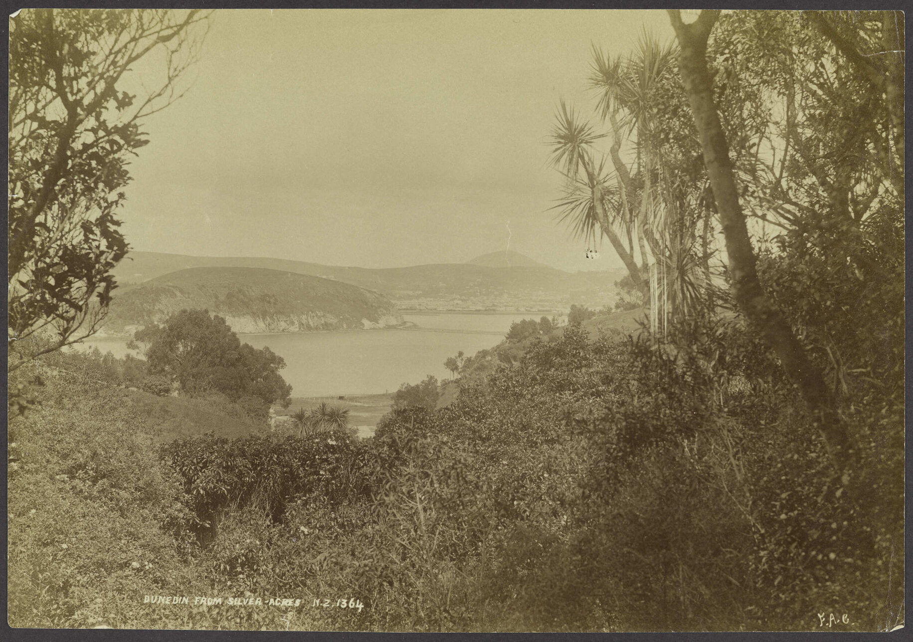 Dunedin from Silver-Acres N.Z.