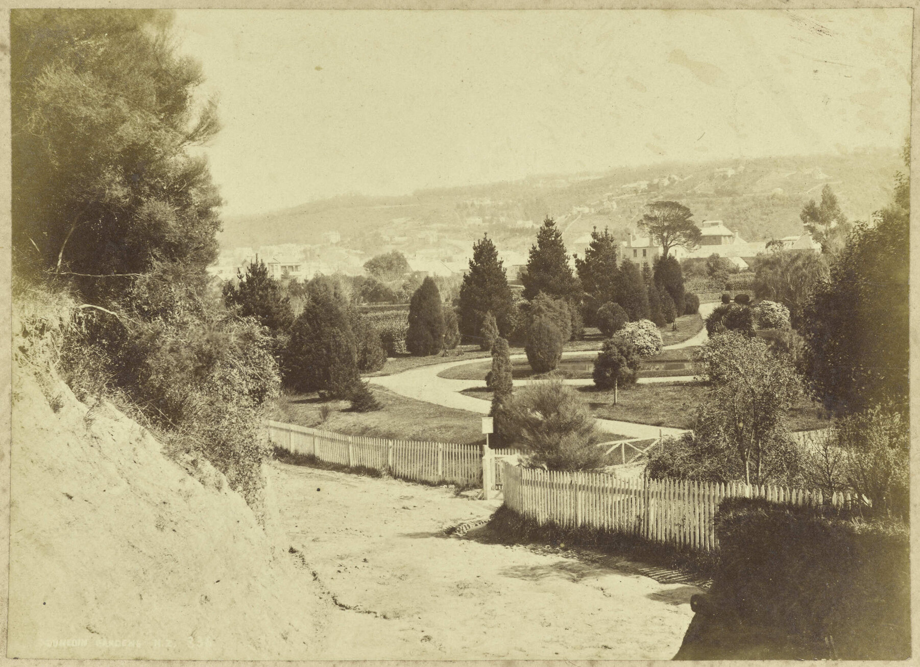 Dunedin Gardens N.Z.