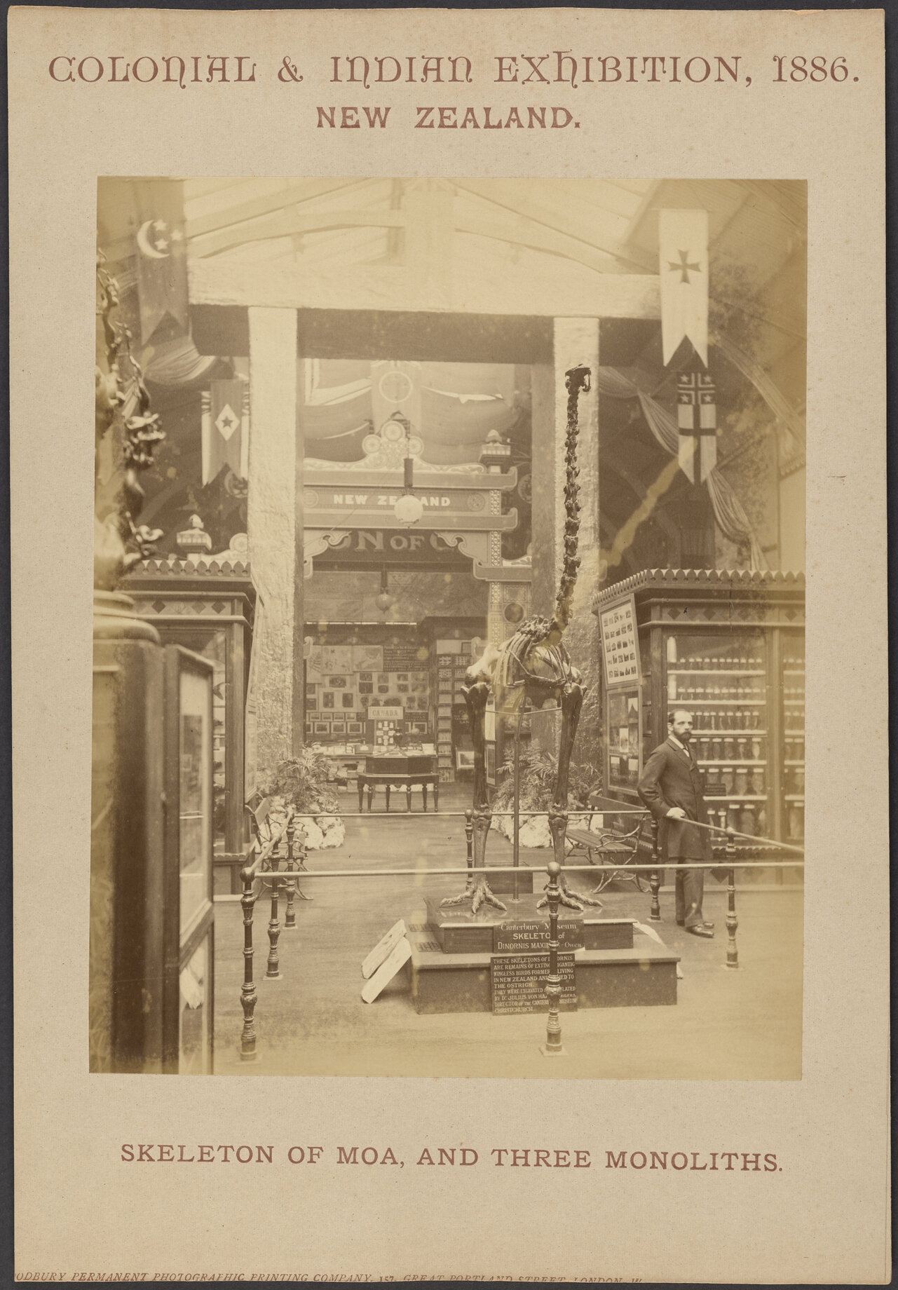 Skeleton of Moa, and Three Monoliths. Colonial and Indian Exhibition, London