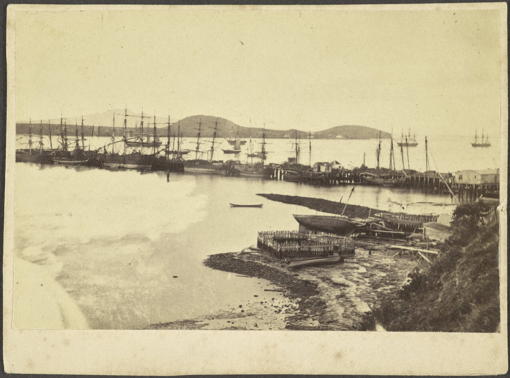 Auckland waterfront