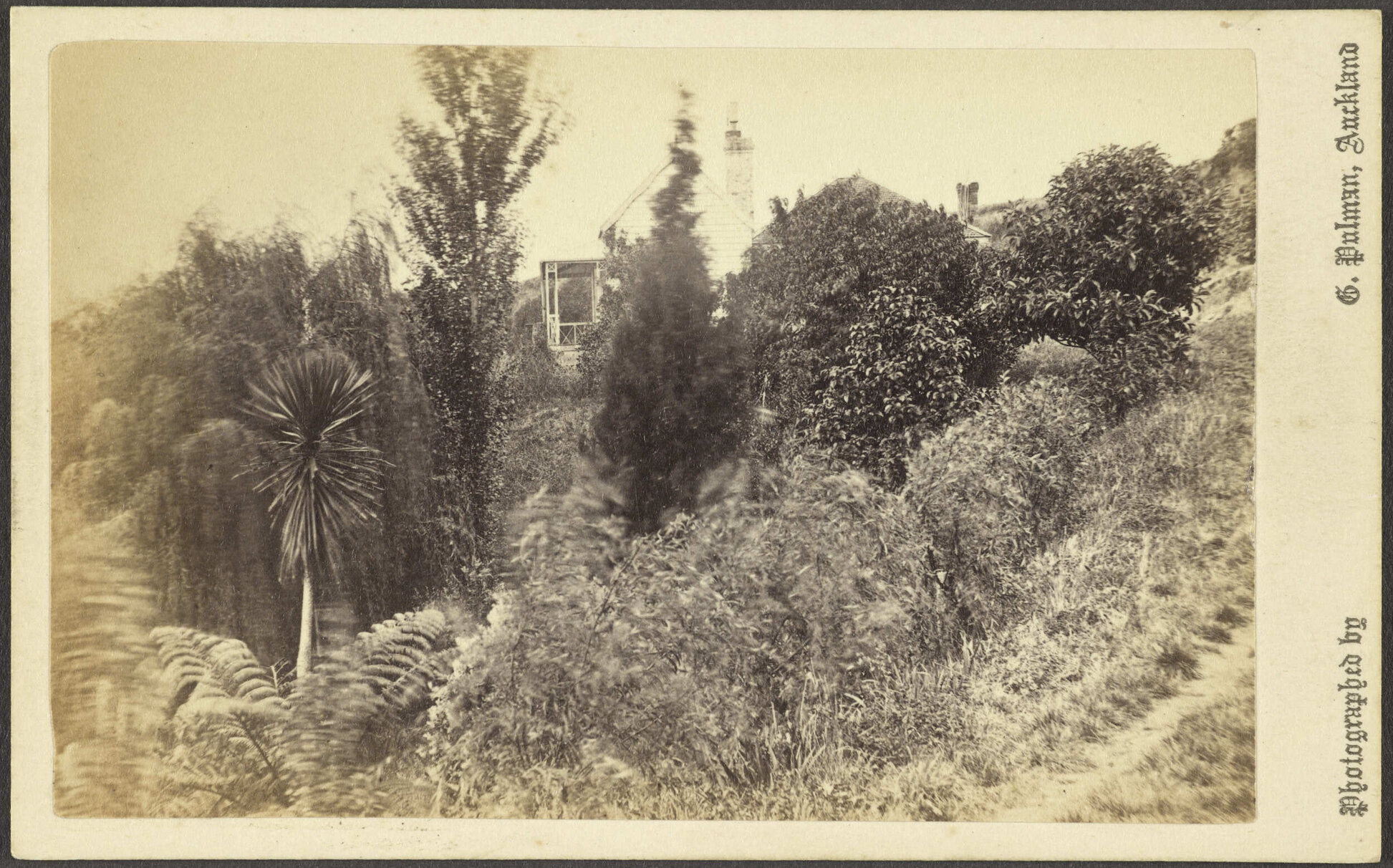 View from carriage drive