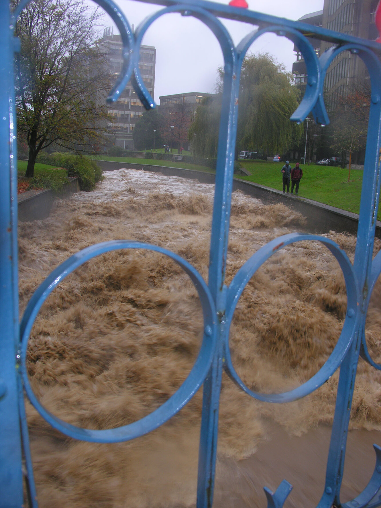 The Leith in flood