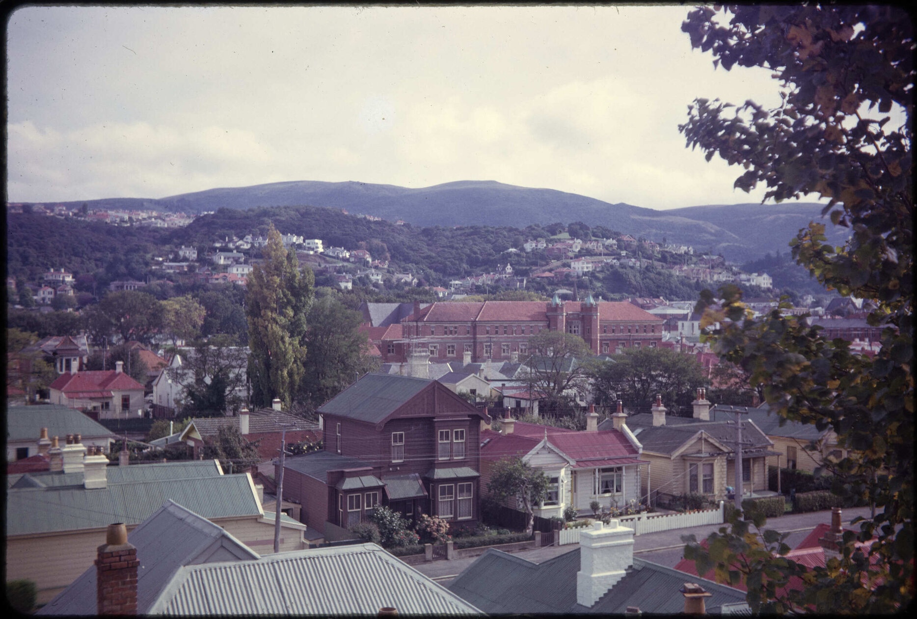 View over Leith Street towards Selwyn College