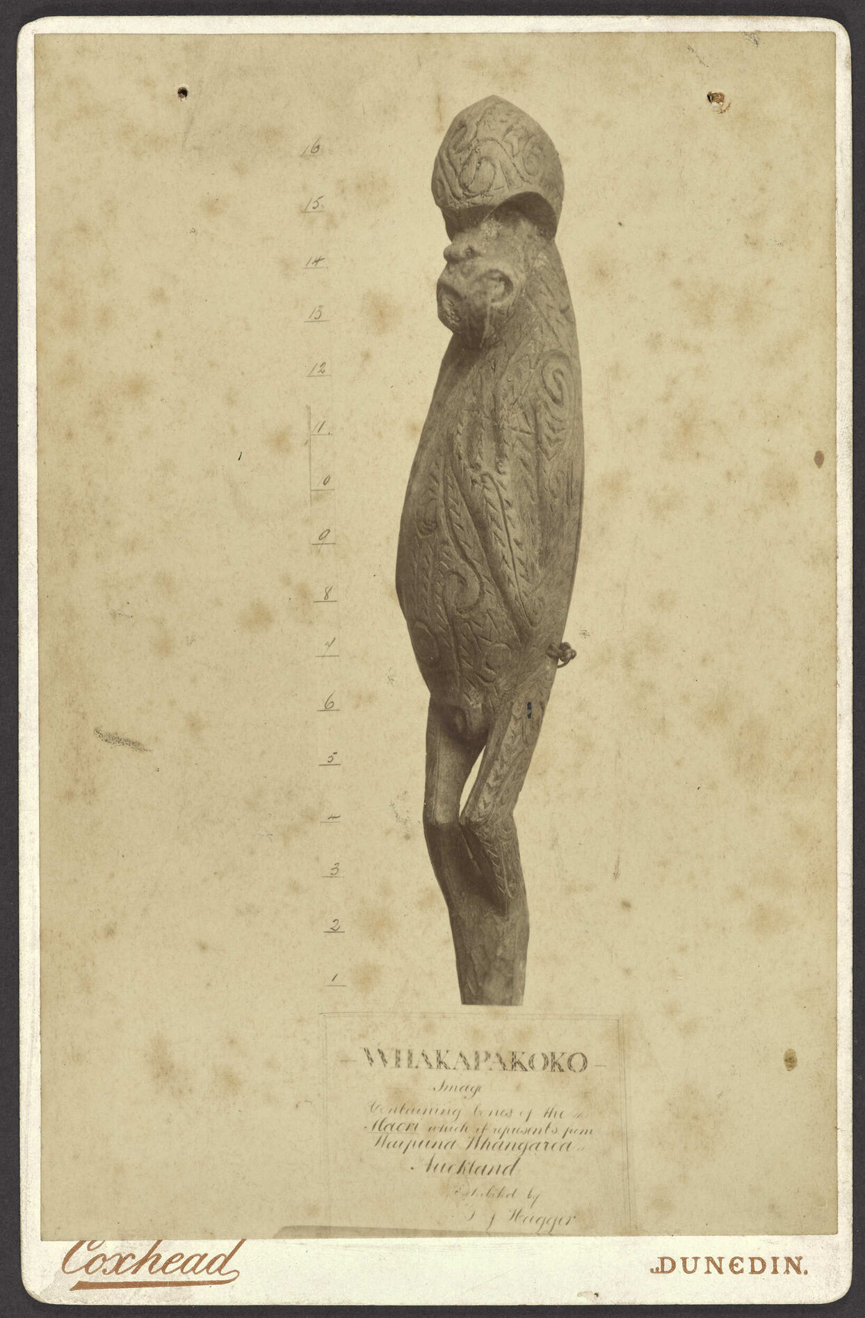 Waka tūpāpaku (front view)