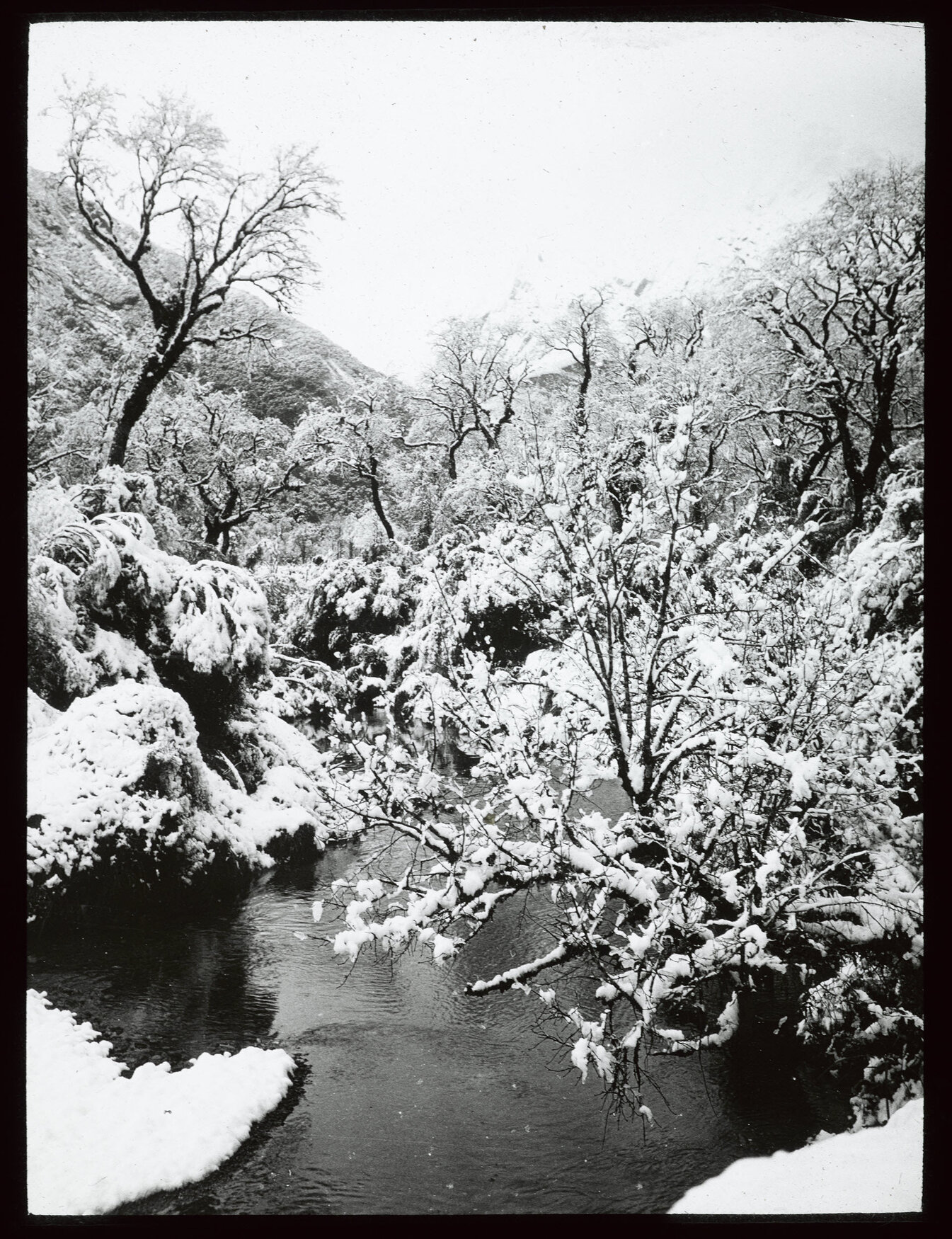 Snowfall, Cassell's Flat