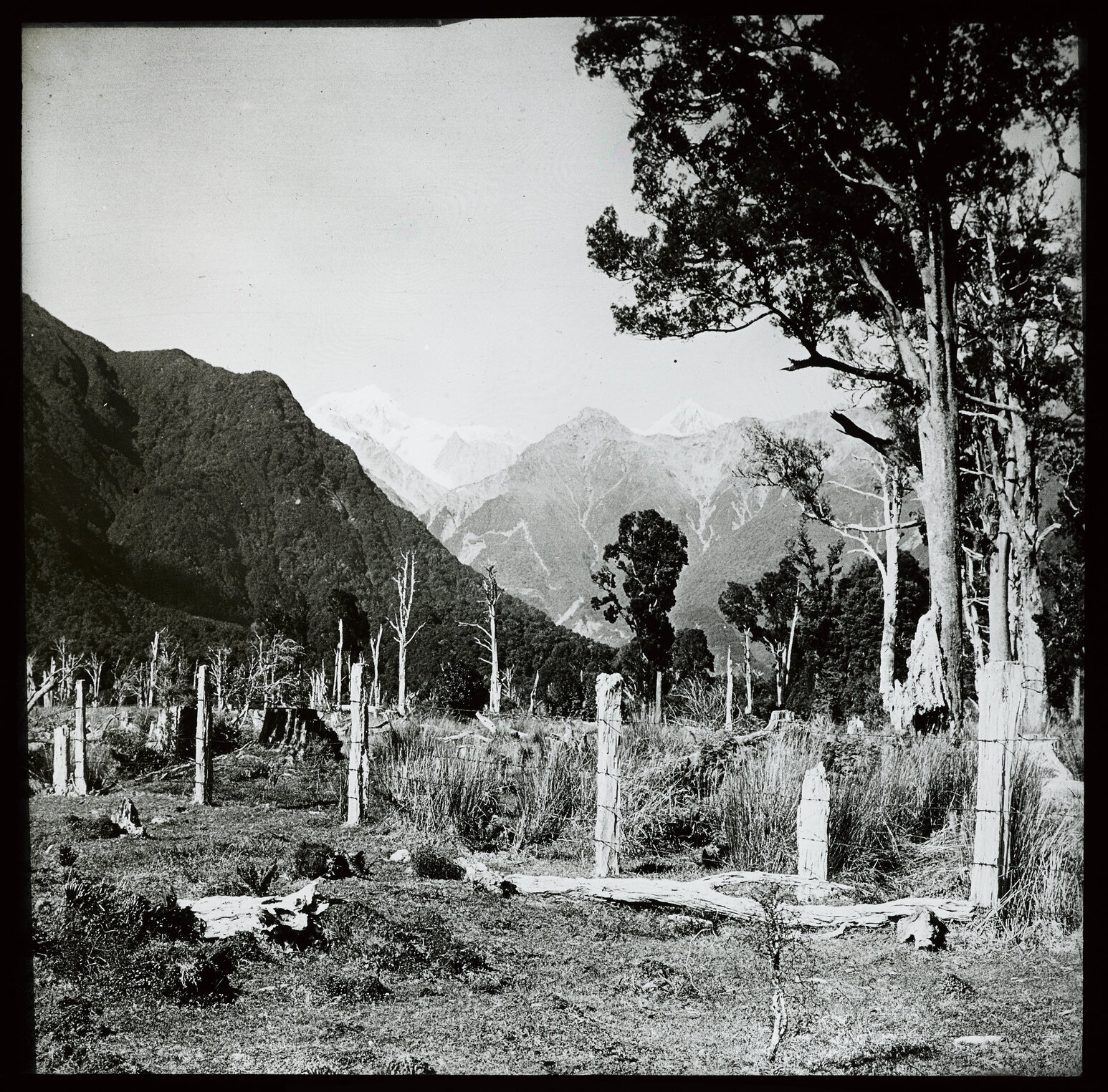 South Westland