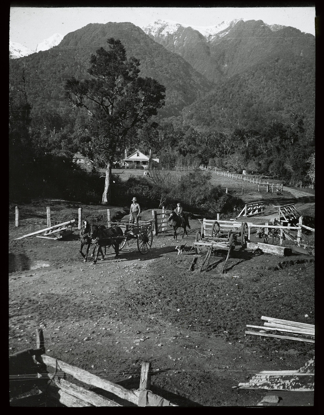 Scotts West Coast Farm