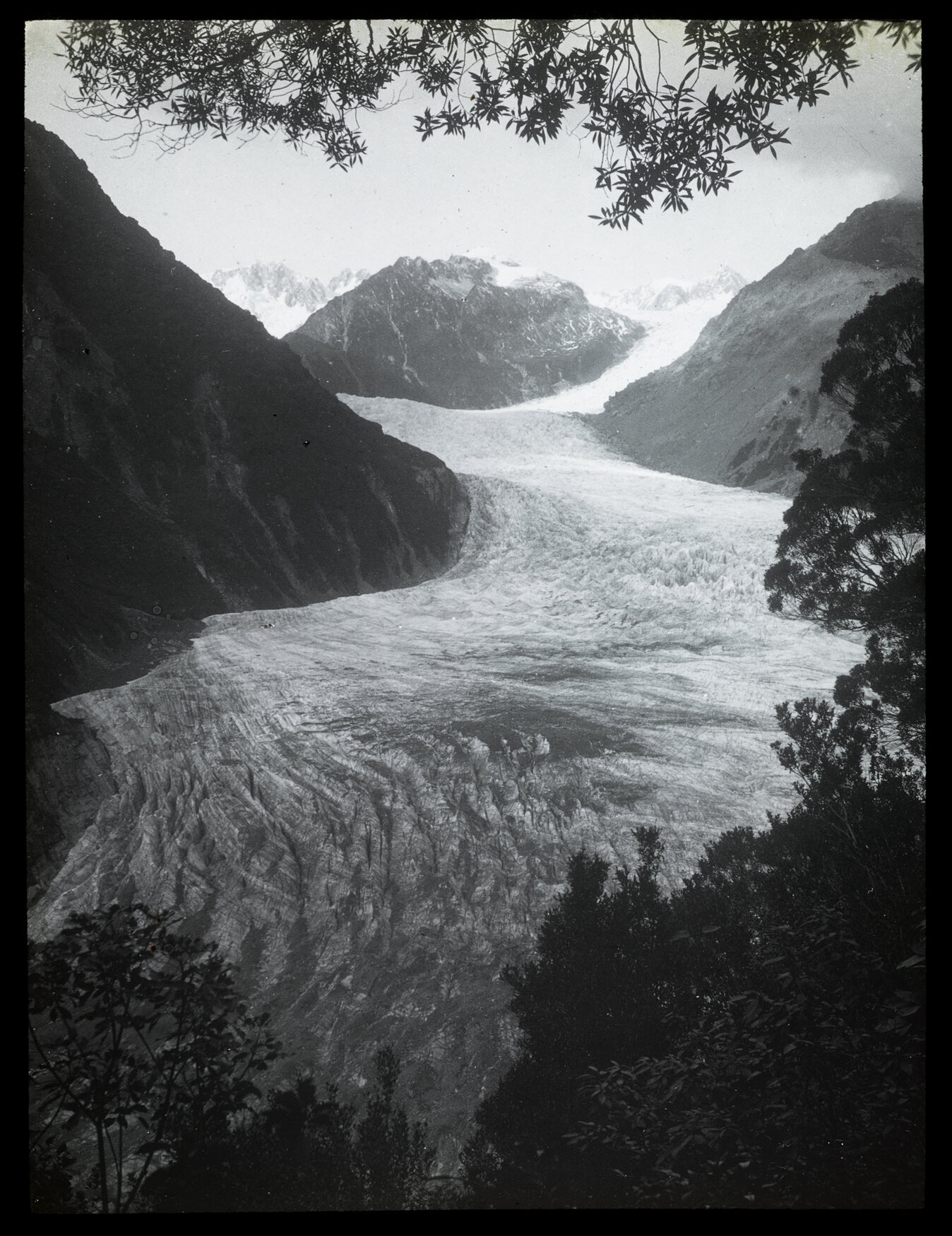 Fox Glacier from Cone Rock