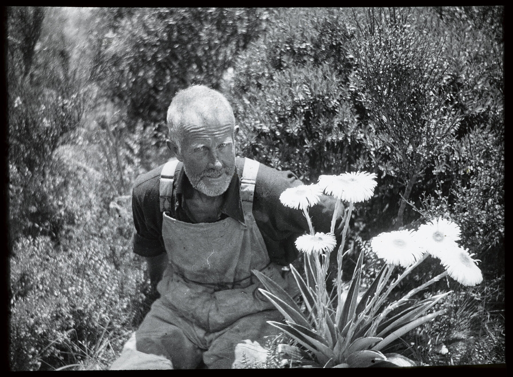 Angus Russell C.M.C., Douglas Valley