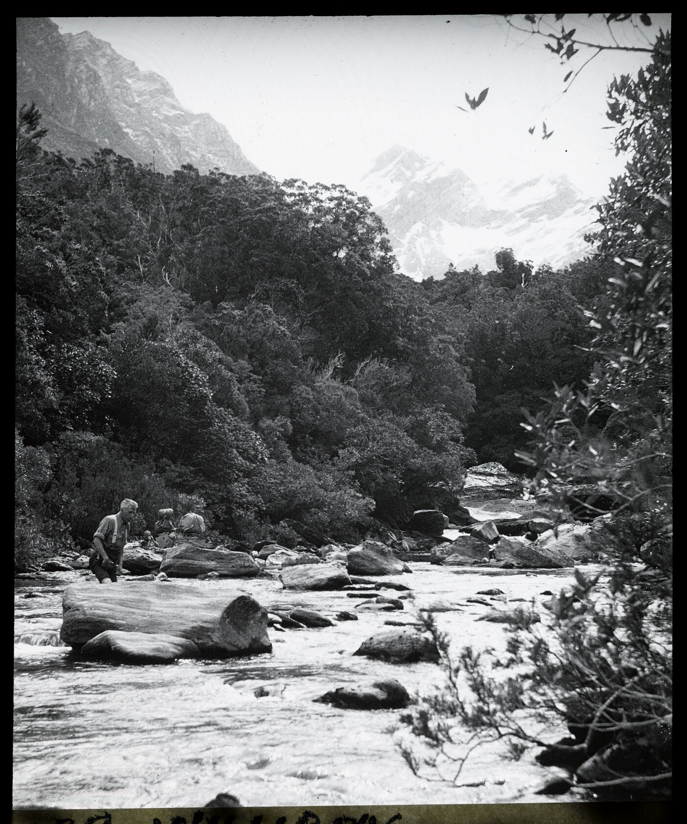 Edgar Williams, Regina Creek