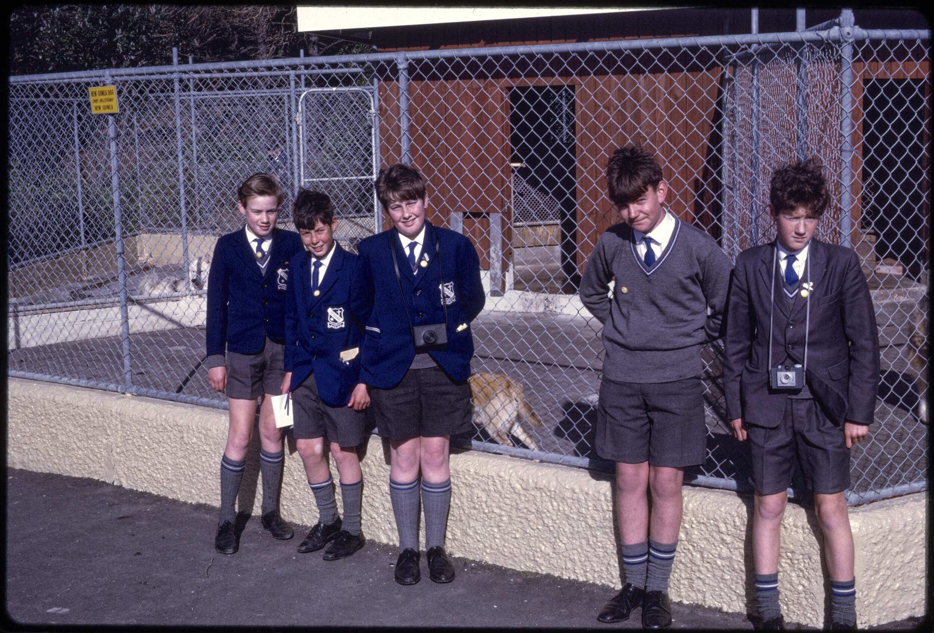 Group of boys at zoo