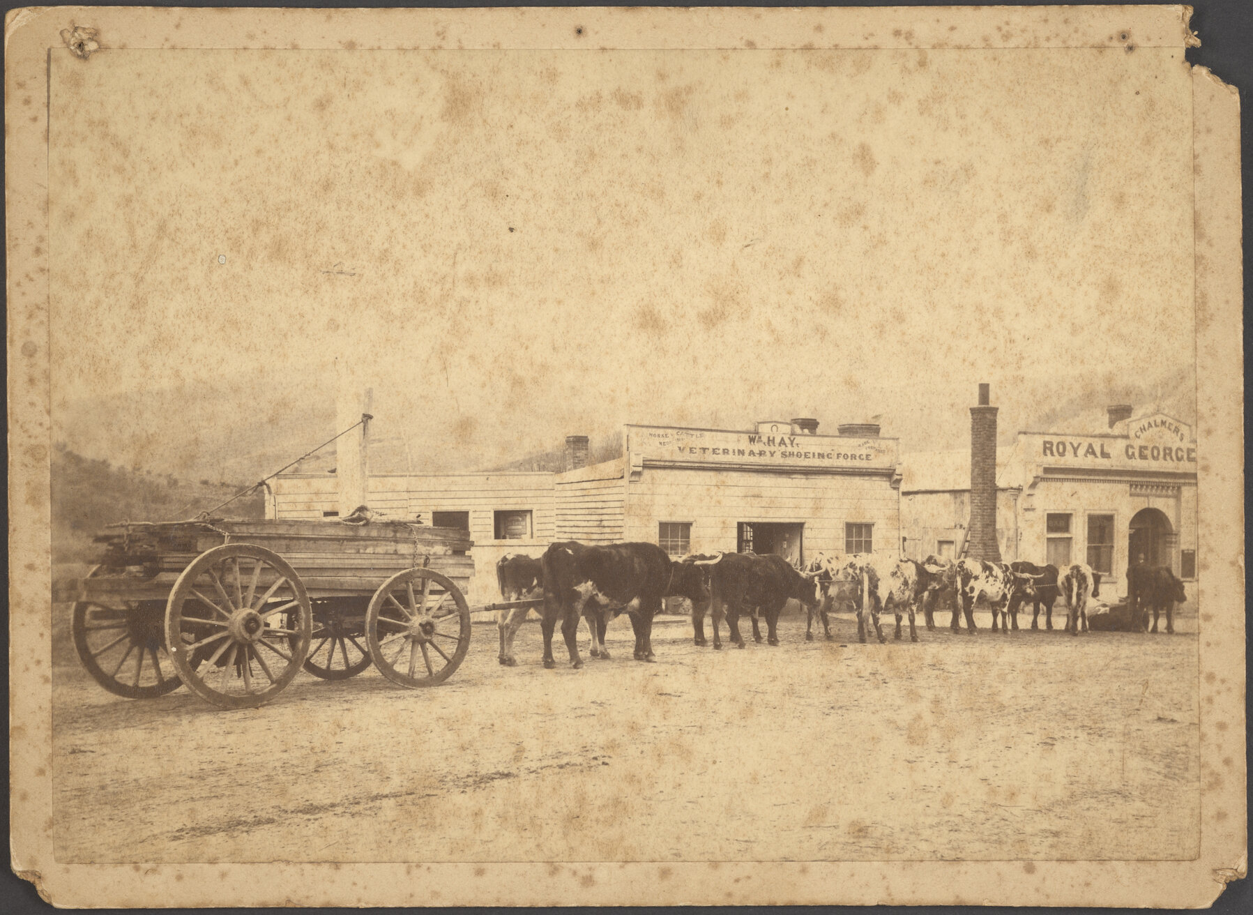 William Hay, Veterinary Shoeing Forge, Lawrence