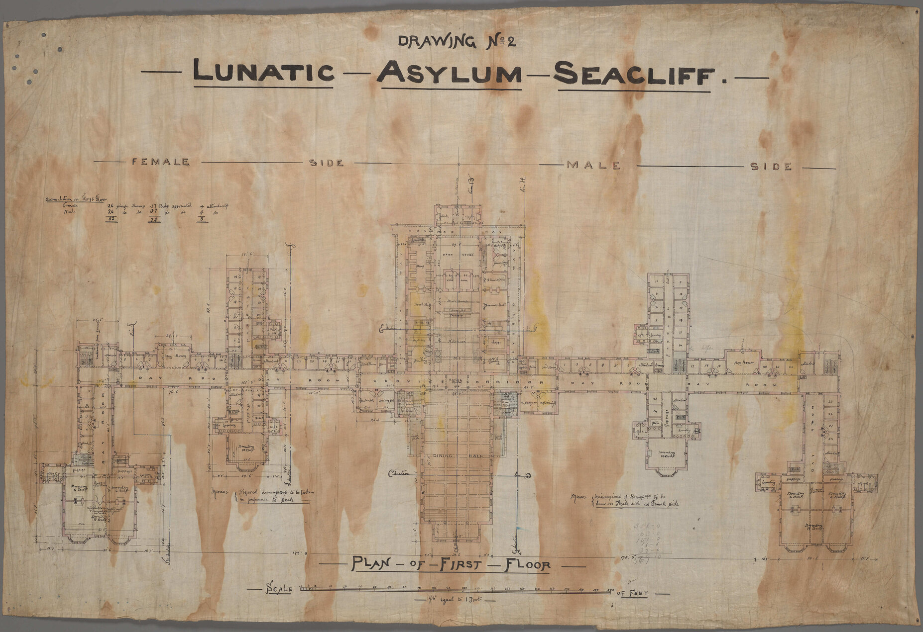 Plan of first floor, 'Drawing No.2, Lunatic Asylum Seacliff'