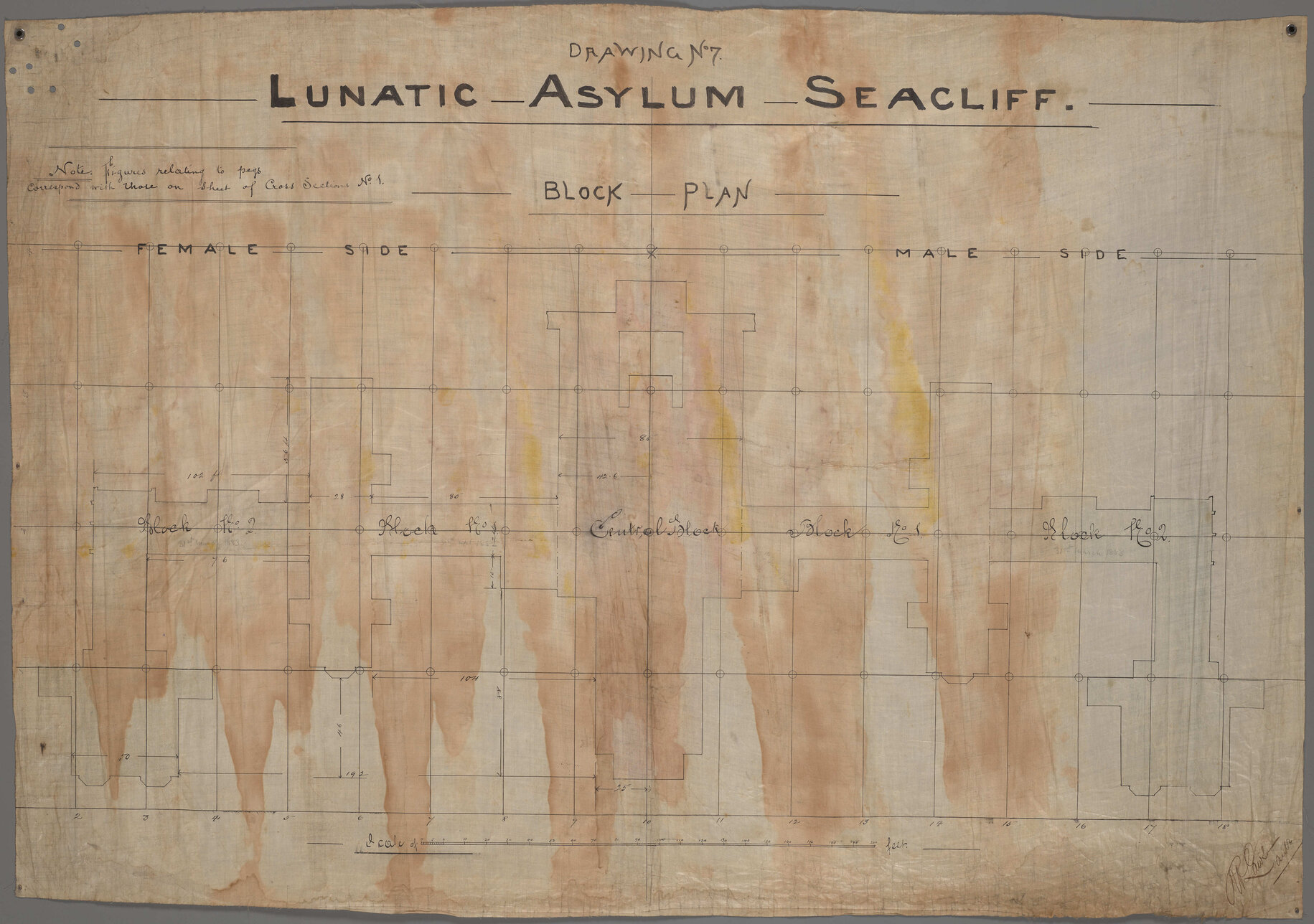 Block plan, 'Drawing No.7, Lunatic Asylum Seacliff'
