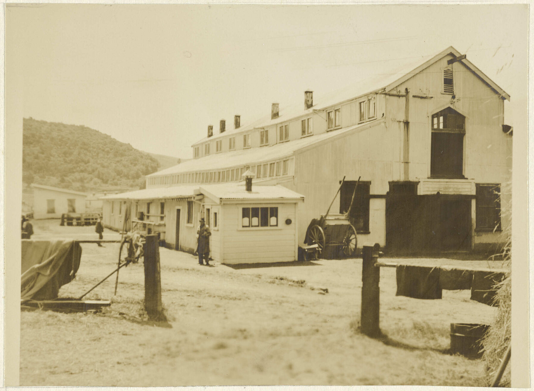 Cow Byres [Seacliff Hospital]