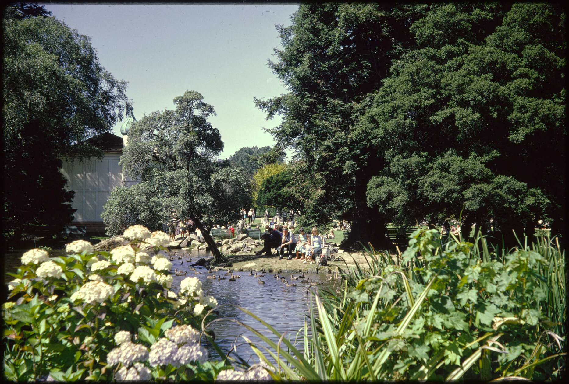 Dunedin Botanic Garden