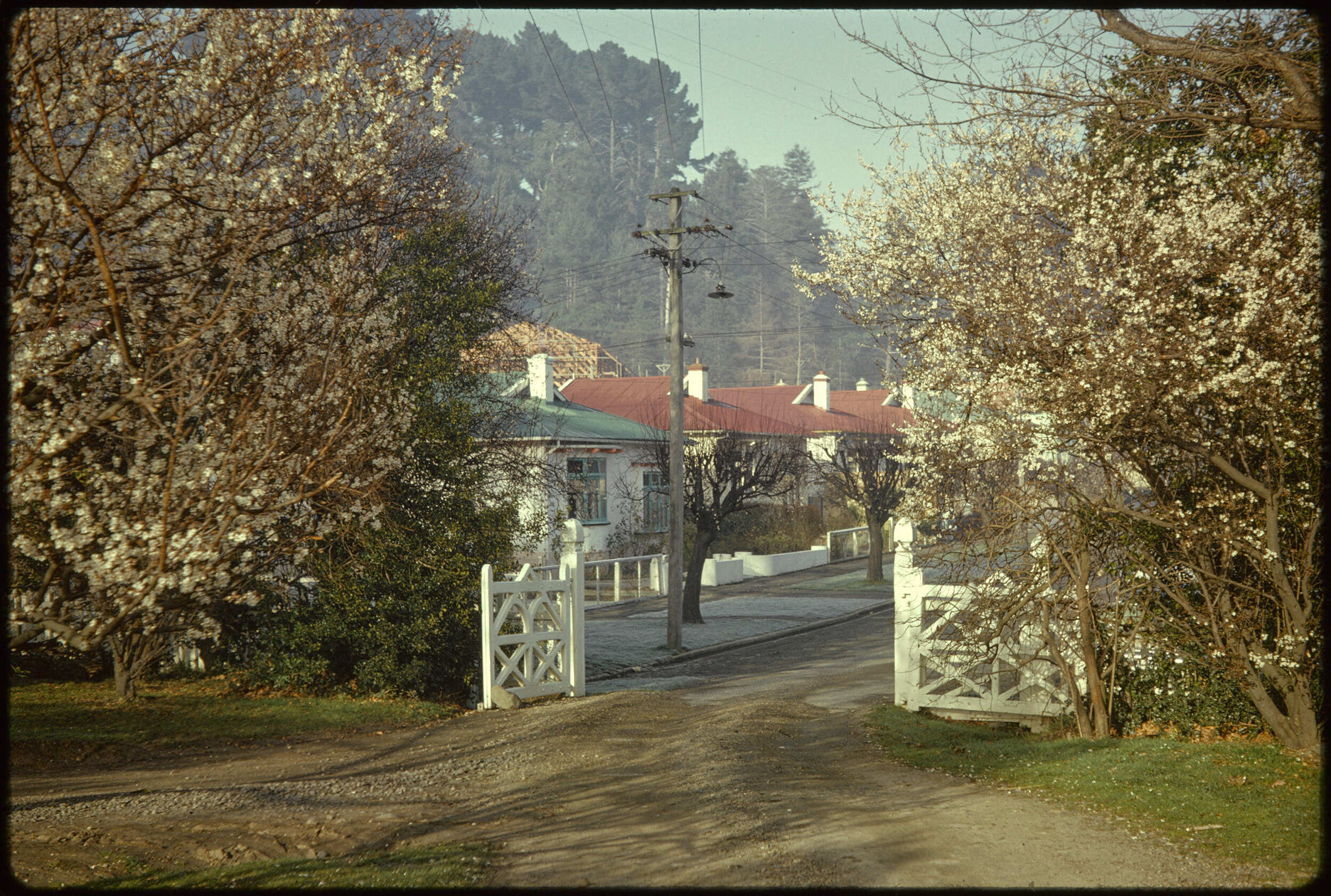 Gates to Knox College from Knox Street