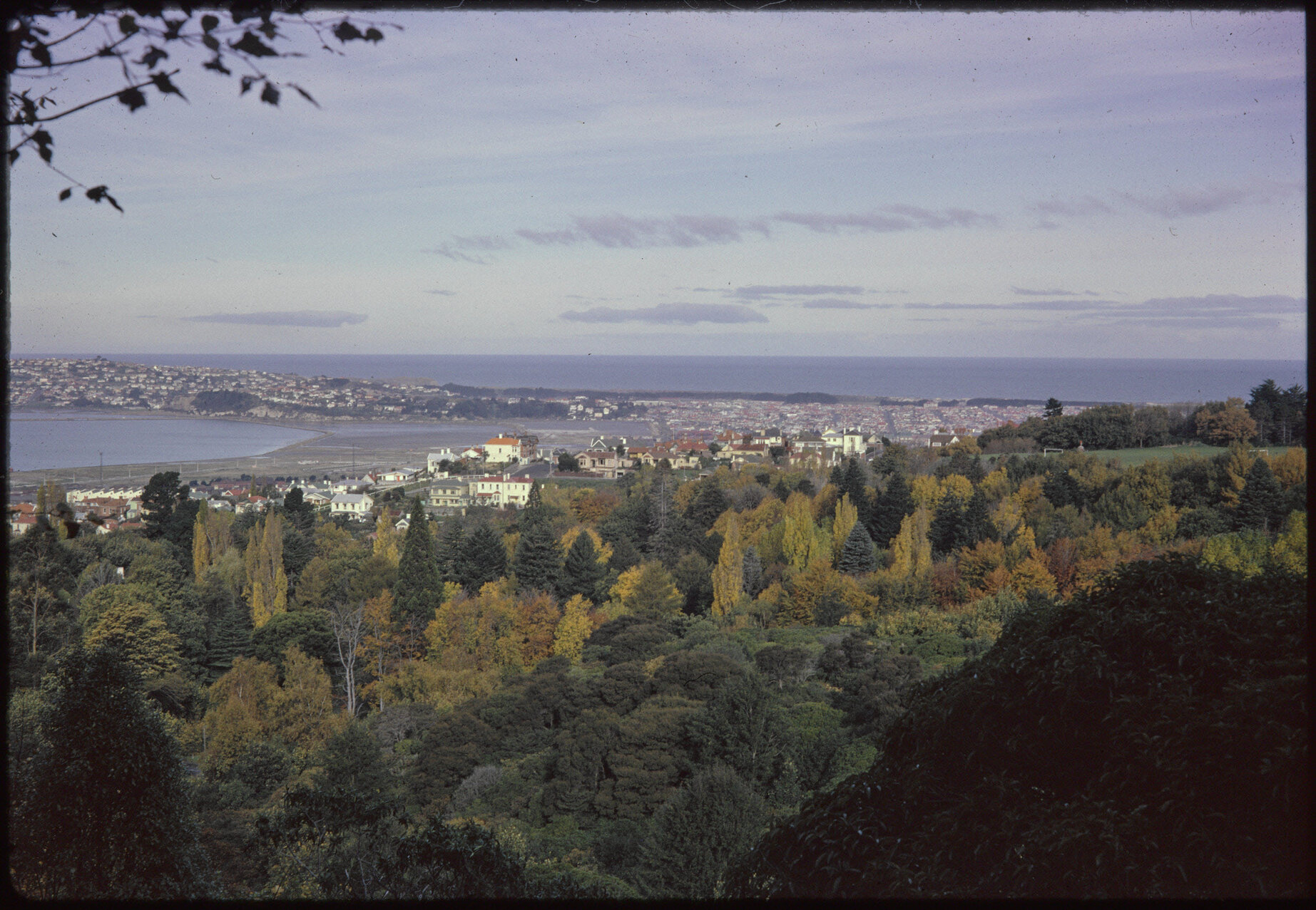 Dunedin from Queens Drive