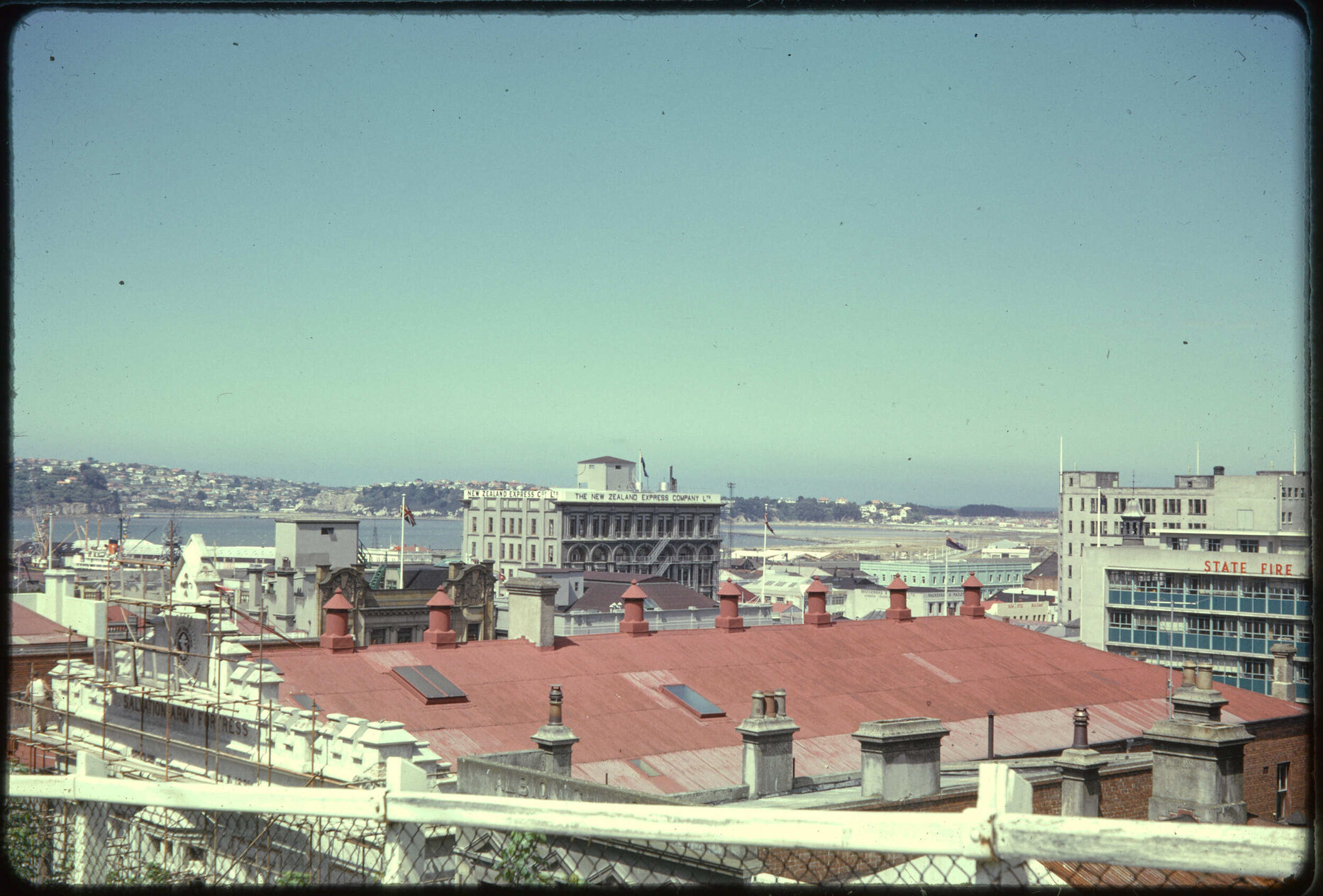 Dunedin from Dowling Street steps