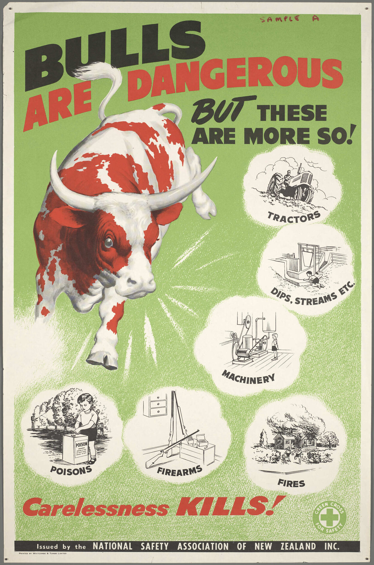 "Bulls Are Dangerous But These Are More So!"
