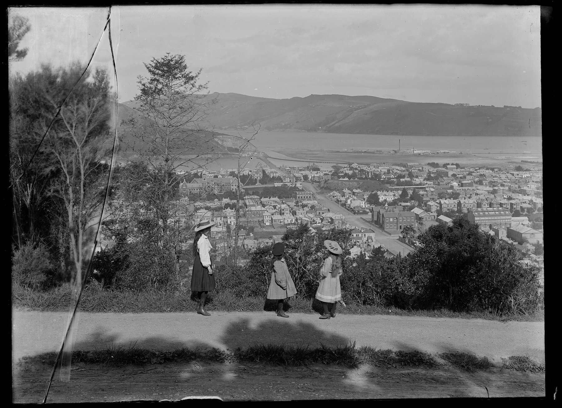 Dunedin from Town Belt
