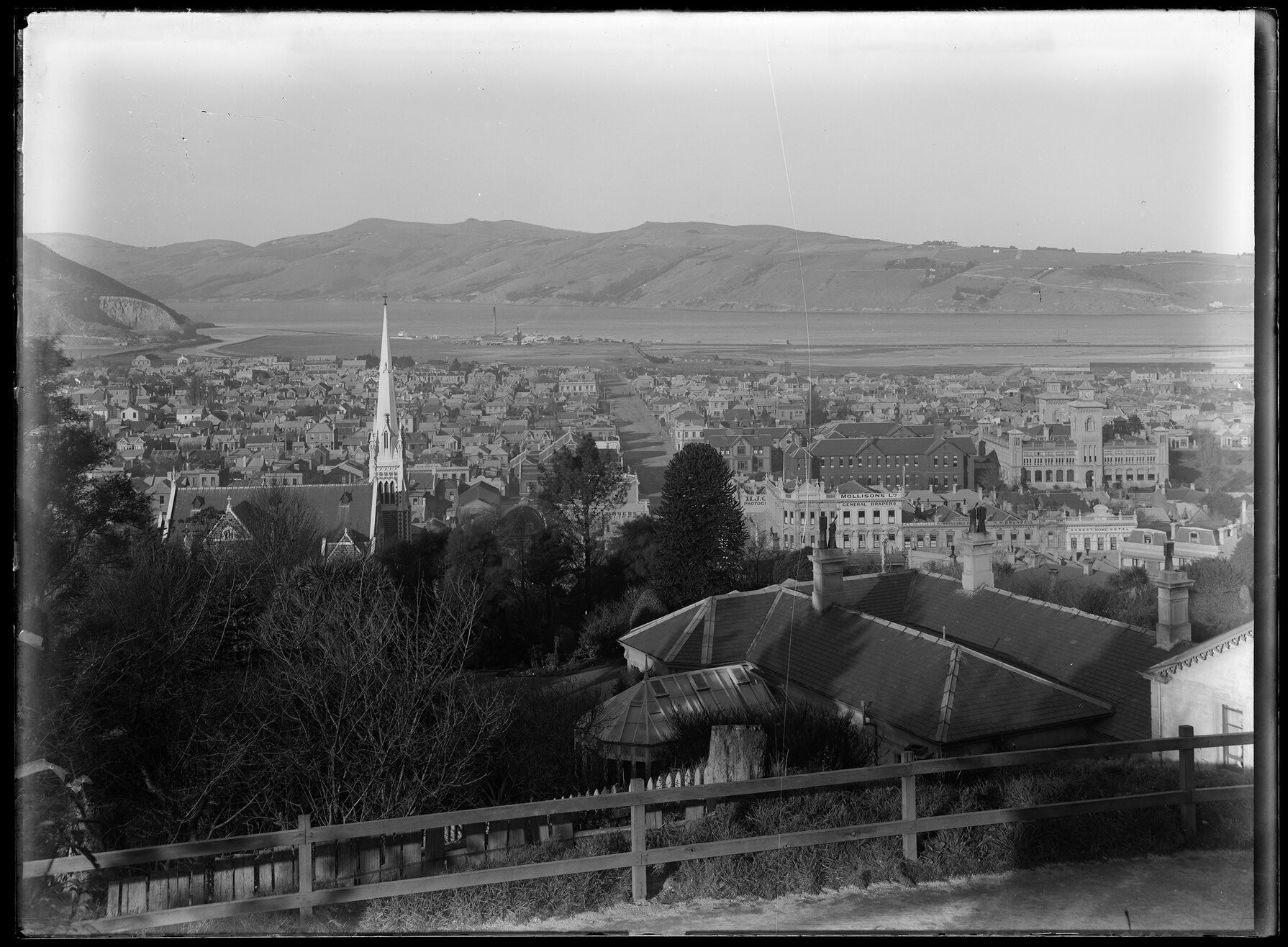 Dunedin from above Knox Church