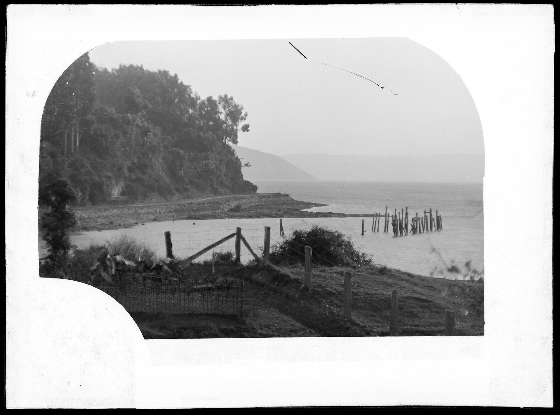 Macandrew's Point