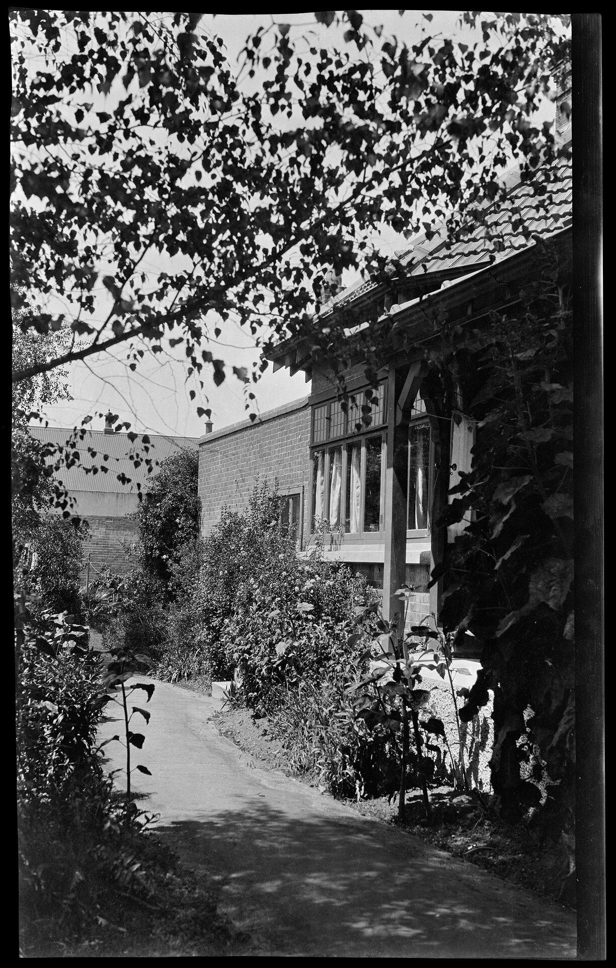 Path at 403 George St