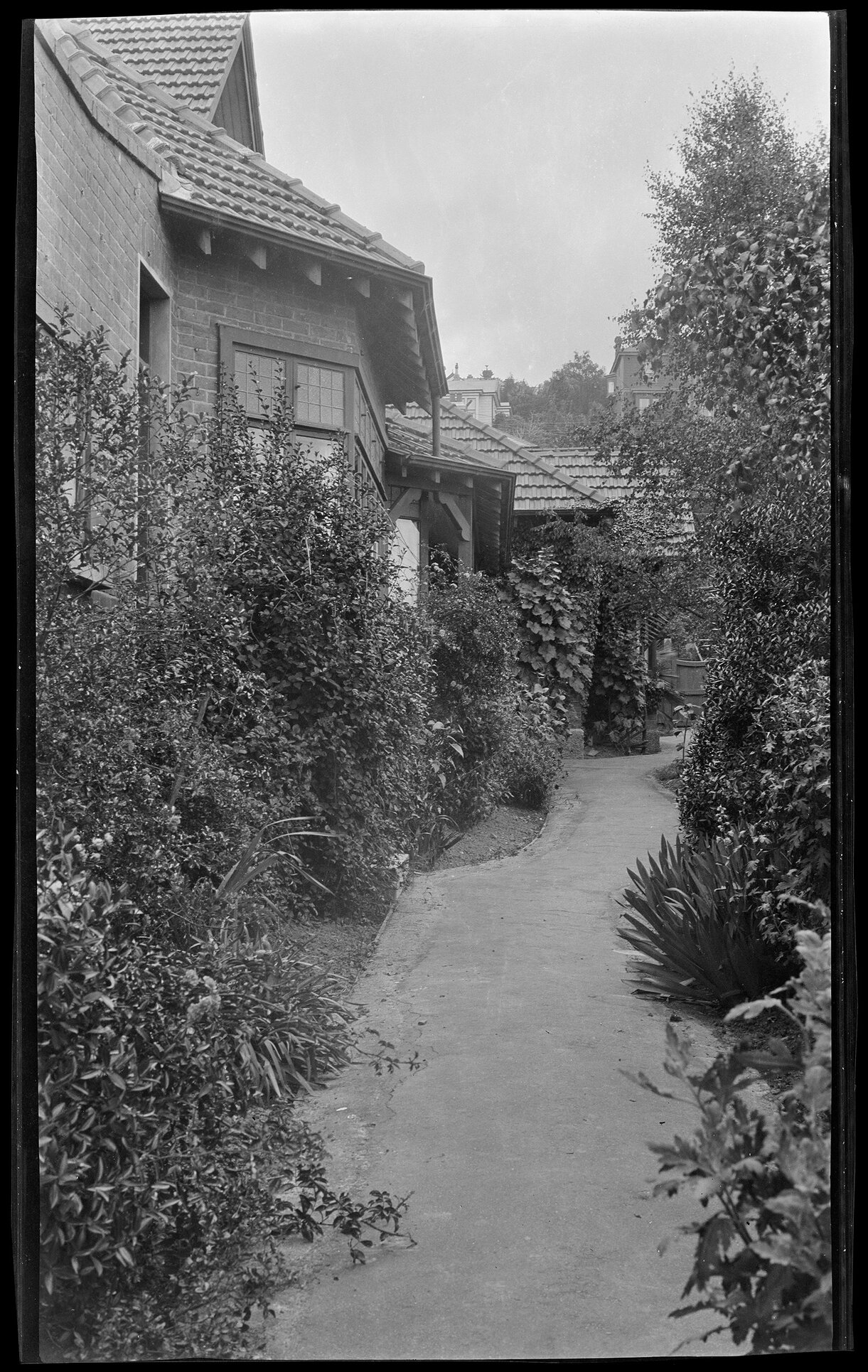 Path at 403 George St