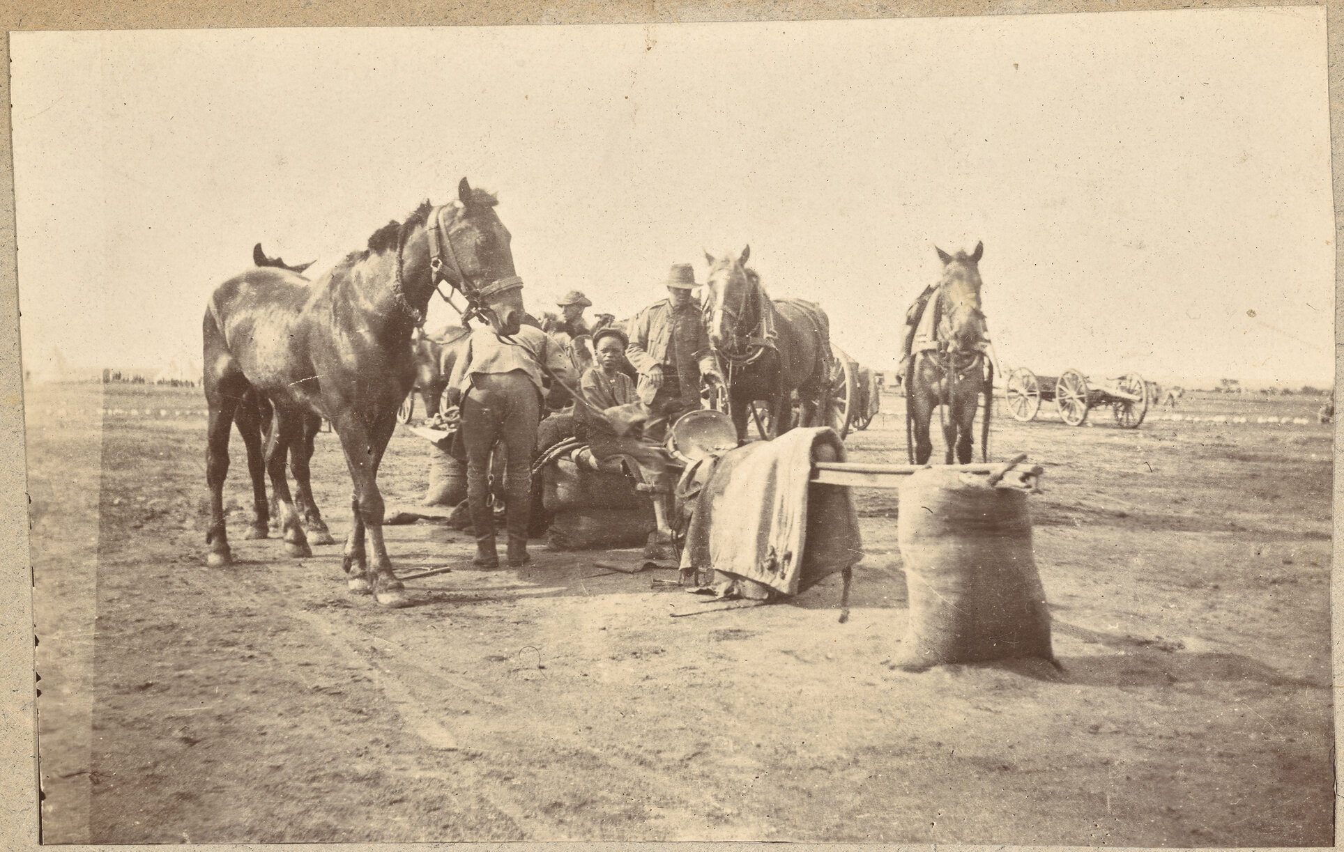 Unharnessing artillery horses