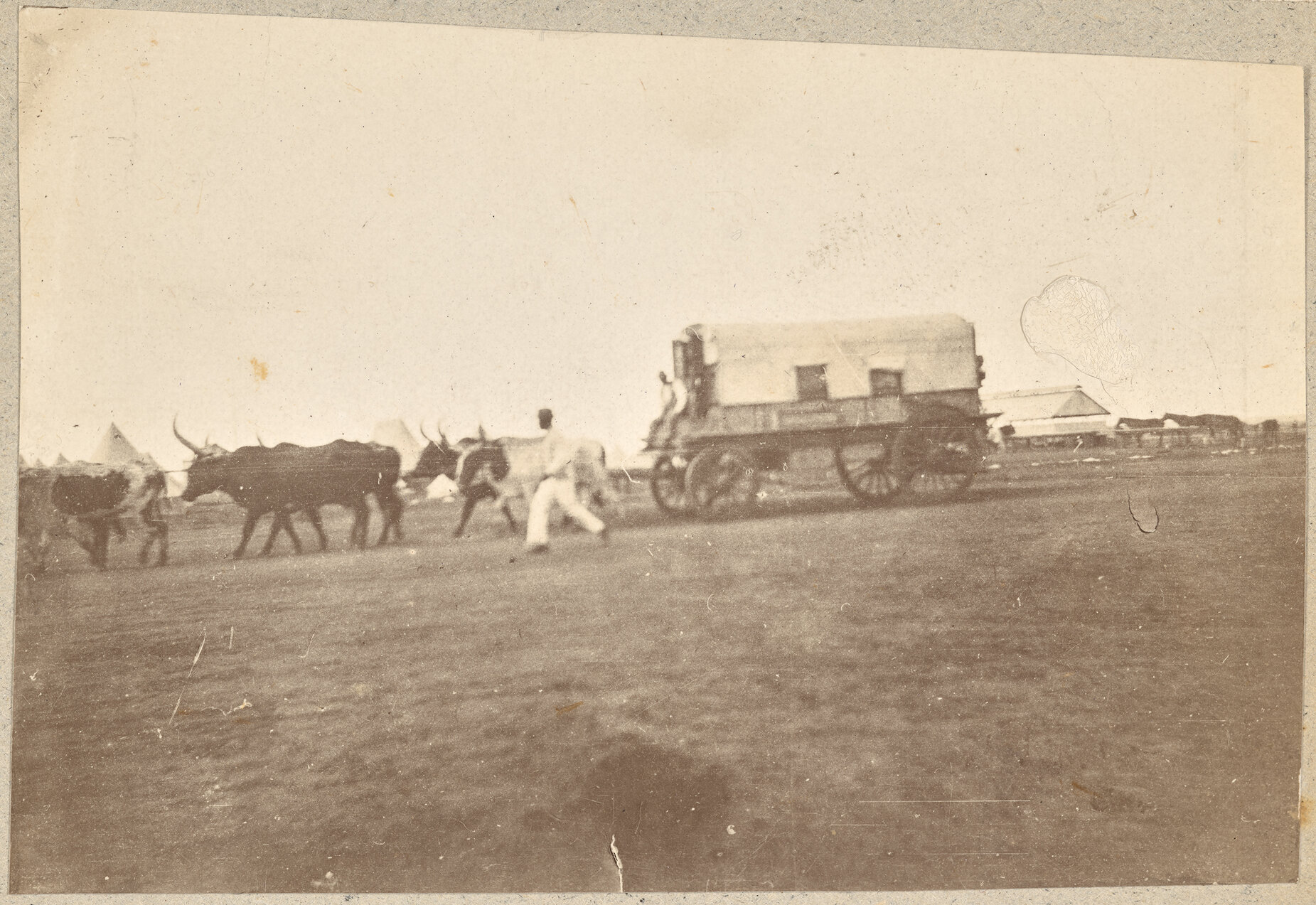 Boer waggon