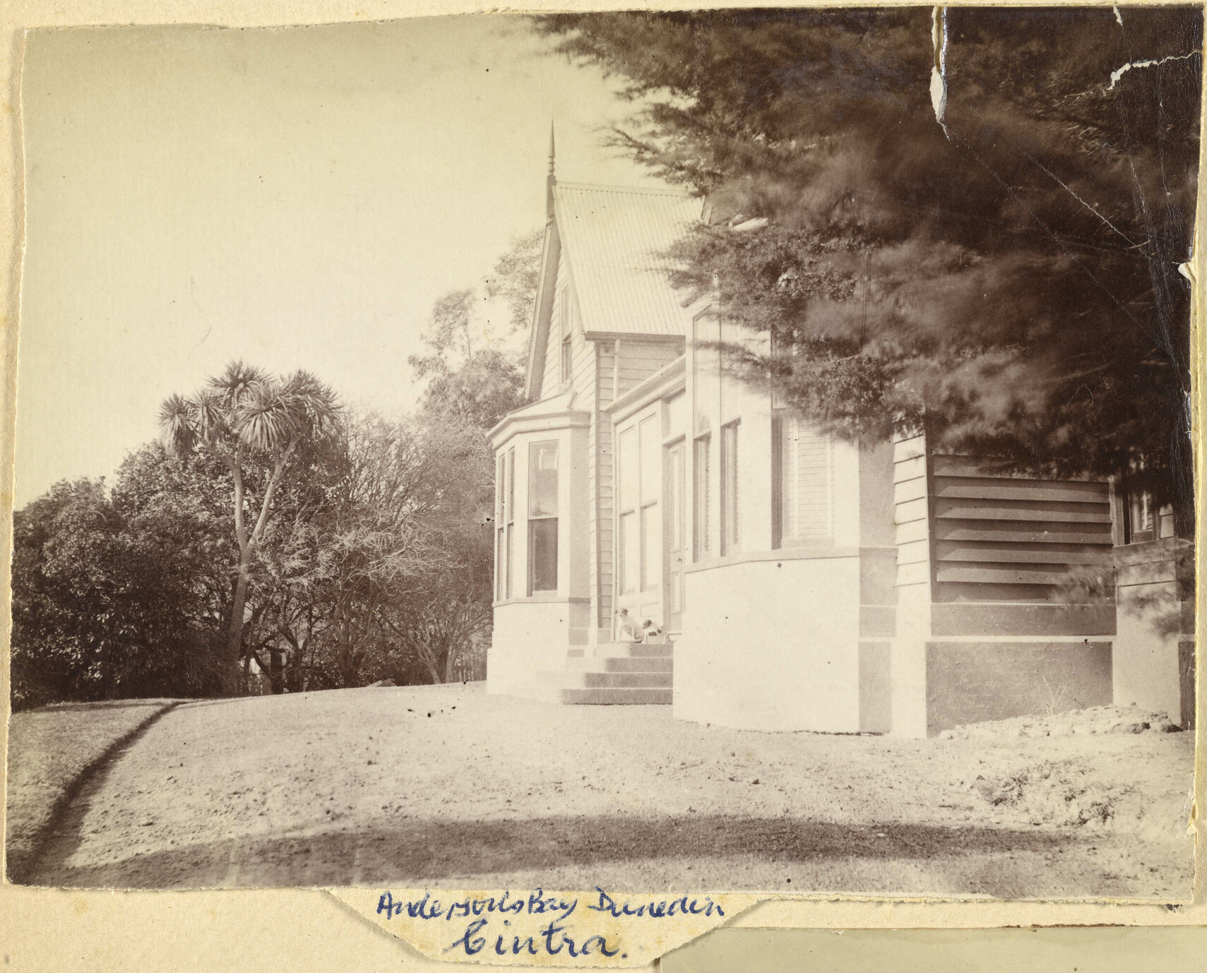 Cintra, Andersons Bay