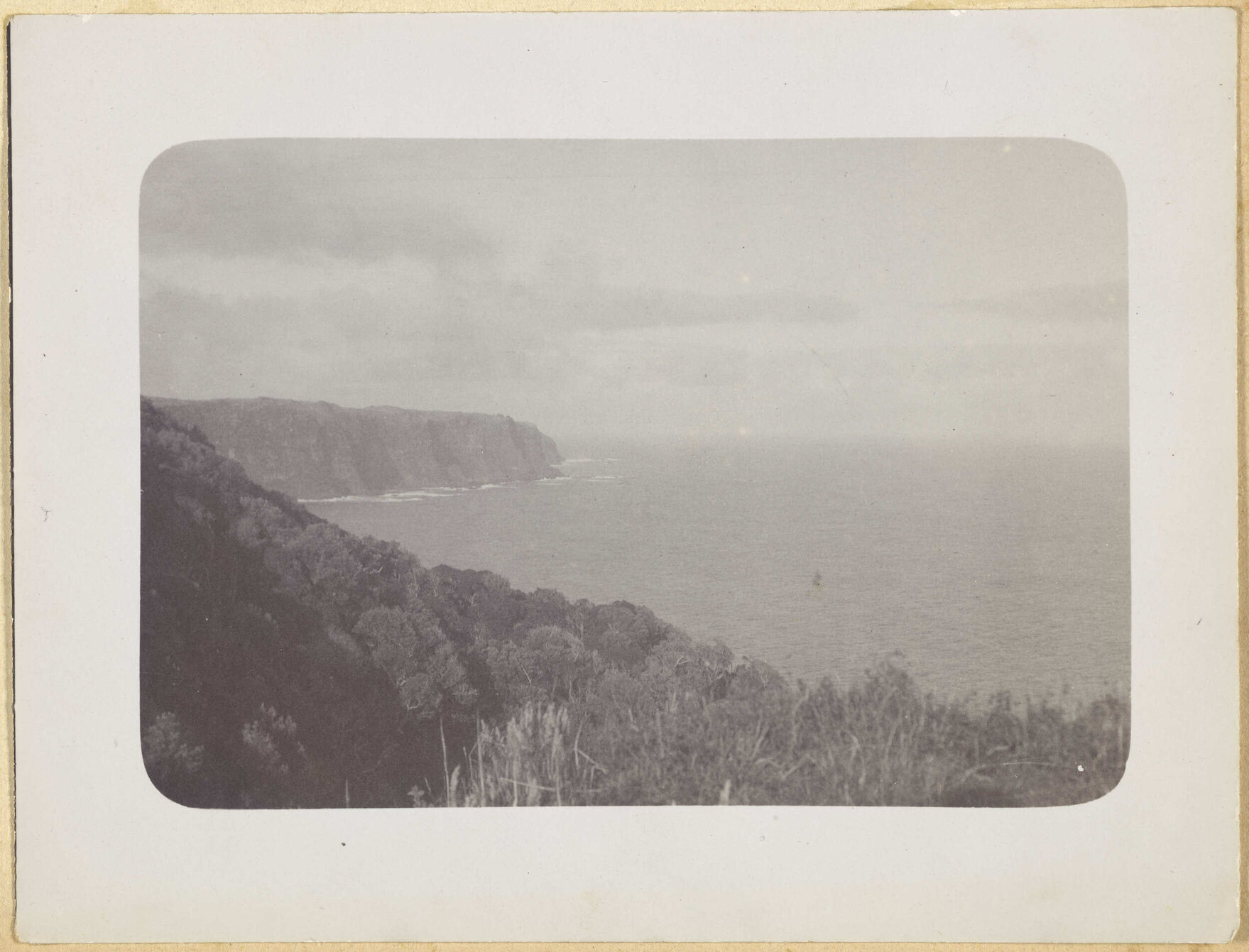Chatham Islands