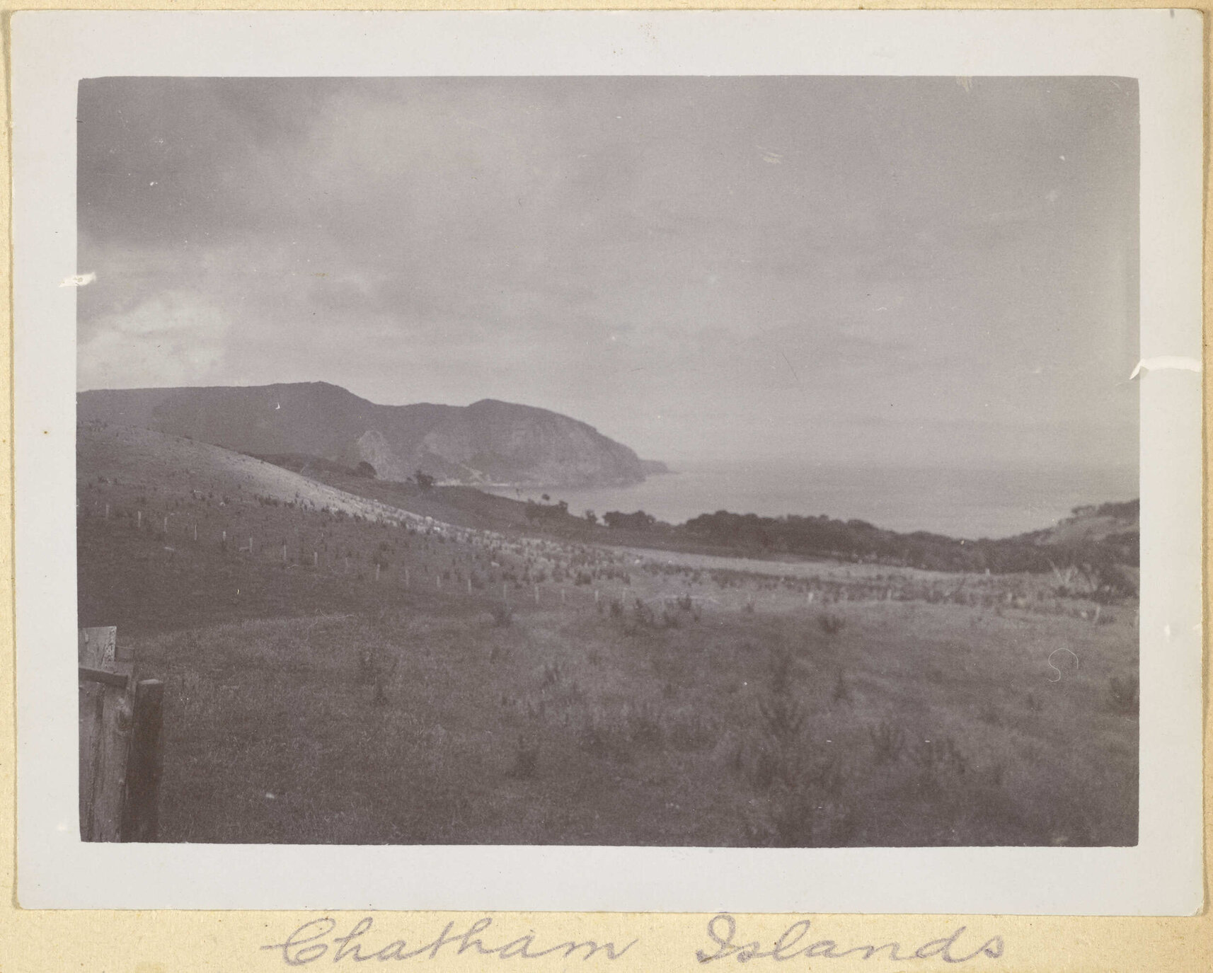 Chatham Islands
