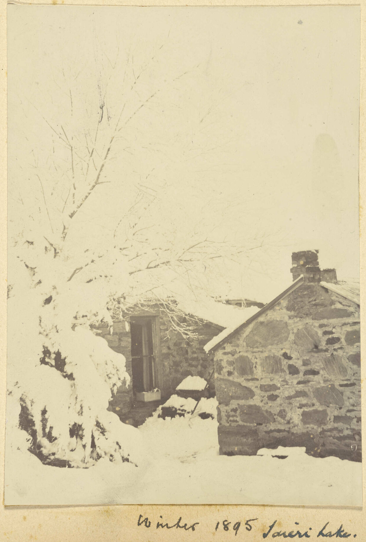 Winter