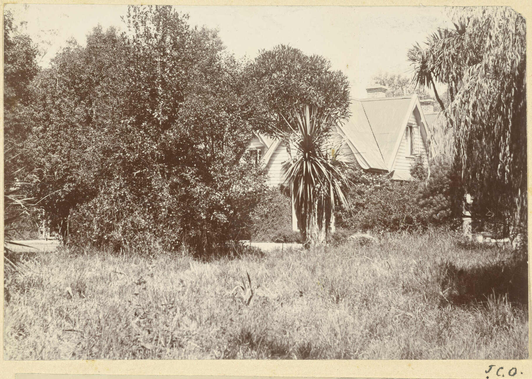 Raukapuka