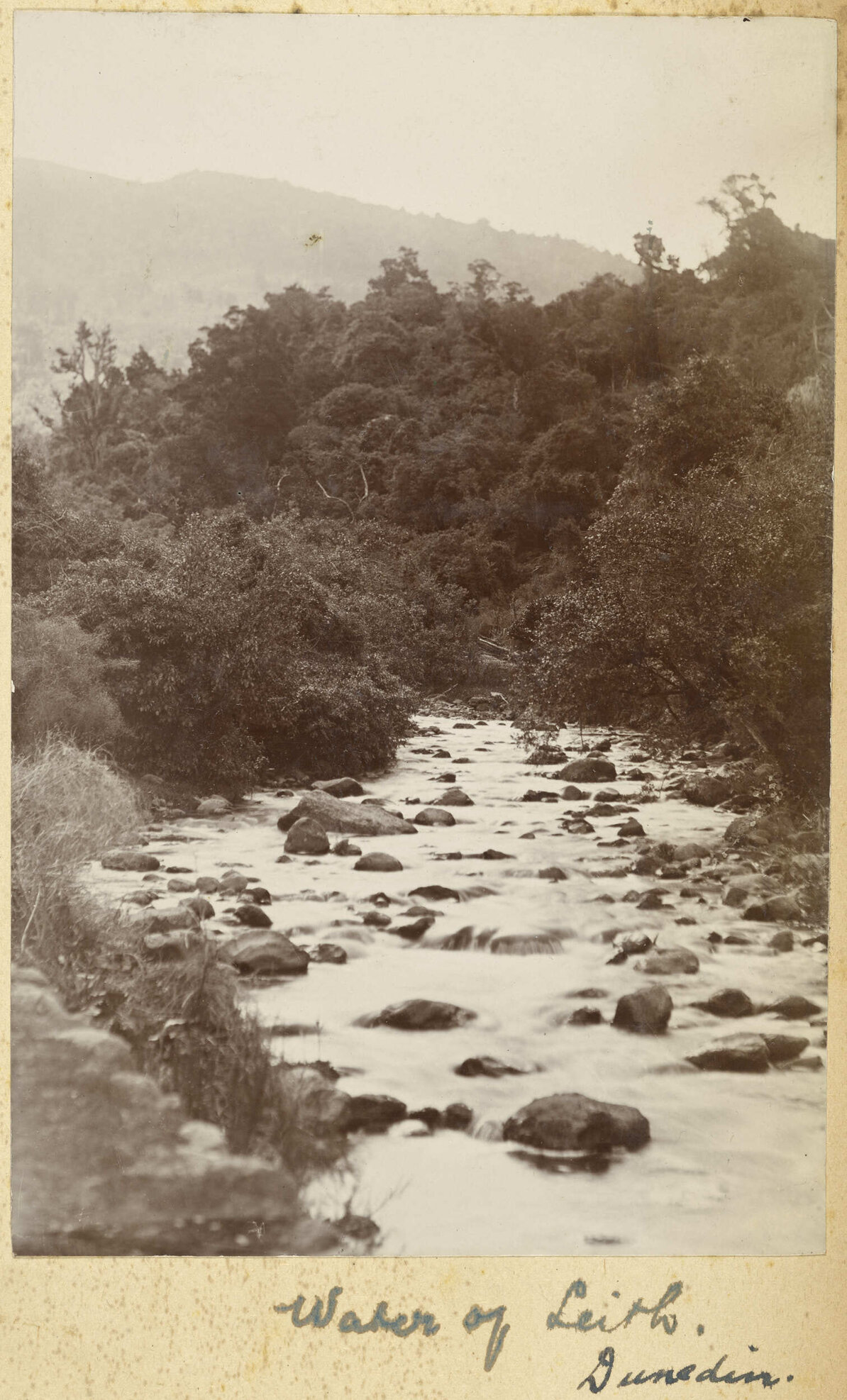 Water of Leith, Dunedin