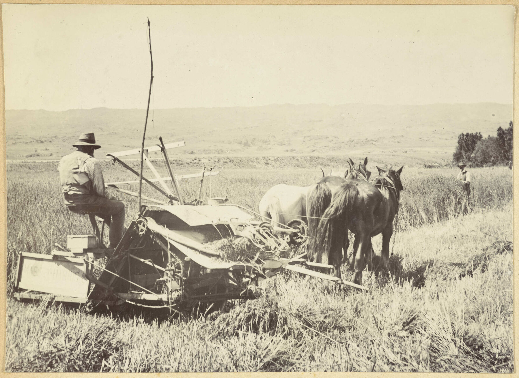 Harvesting