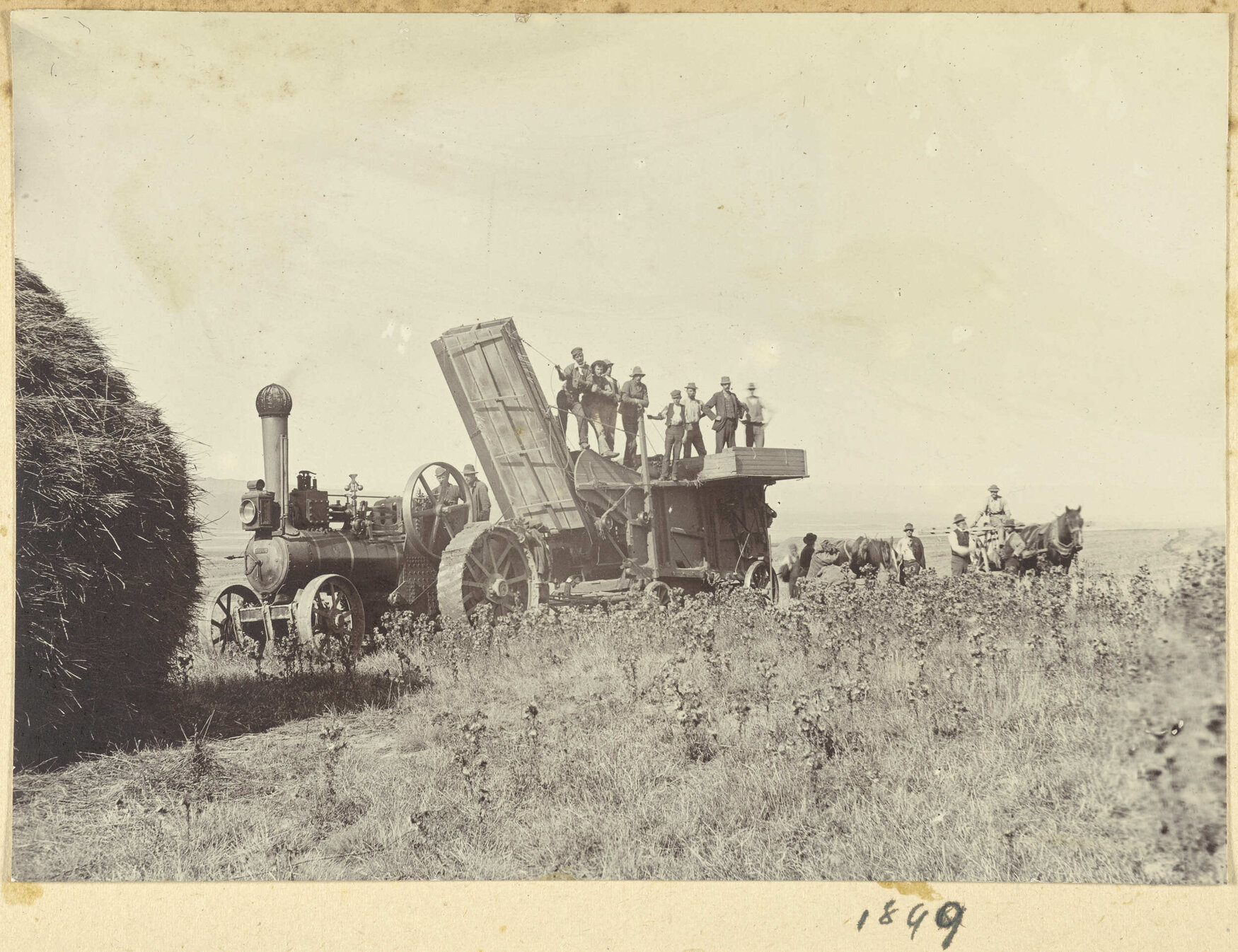 Harvest scene