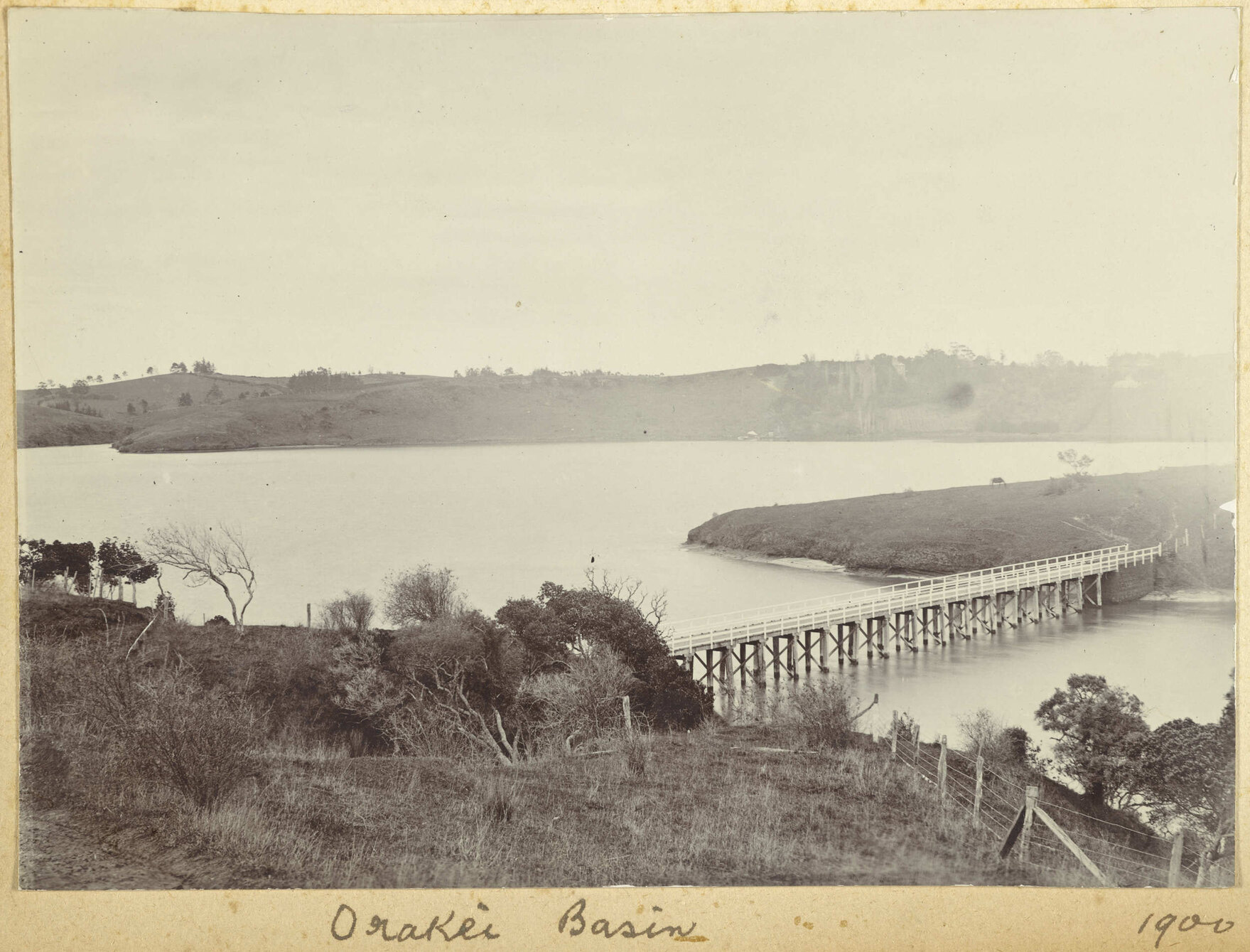 Orakei Basin, Auckland