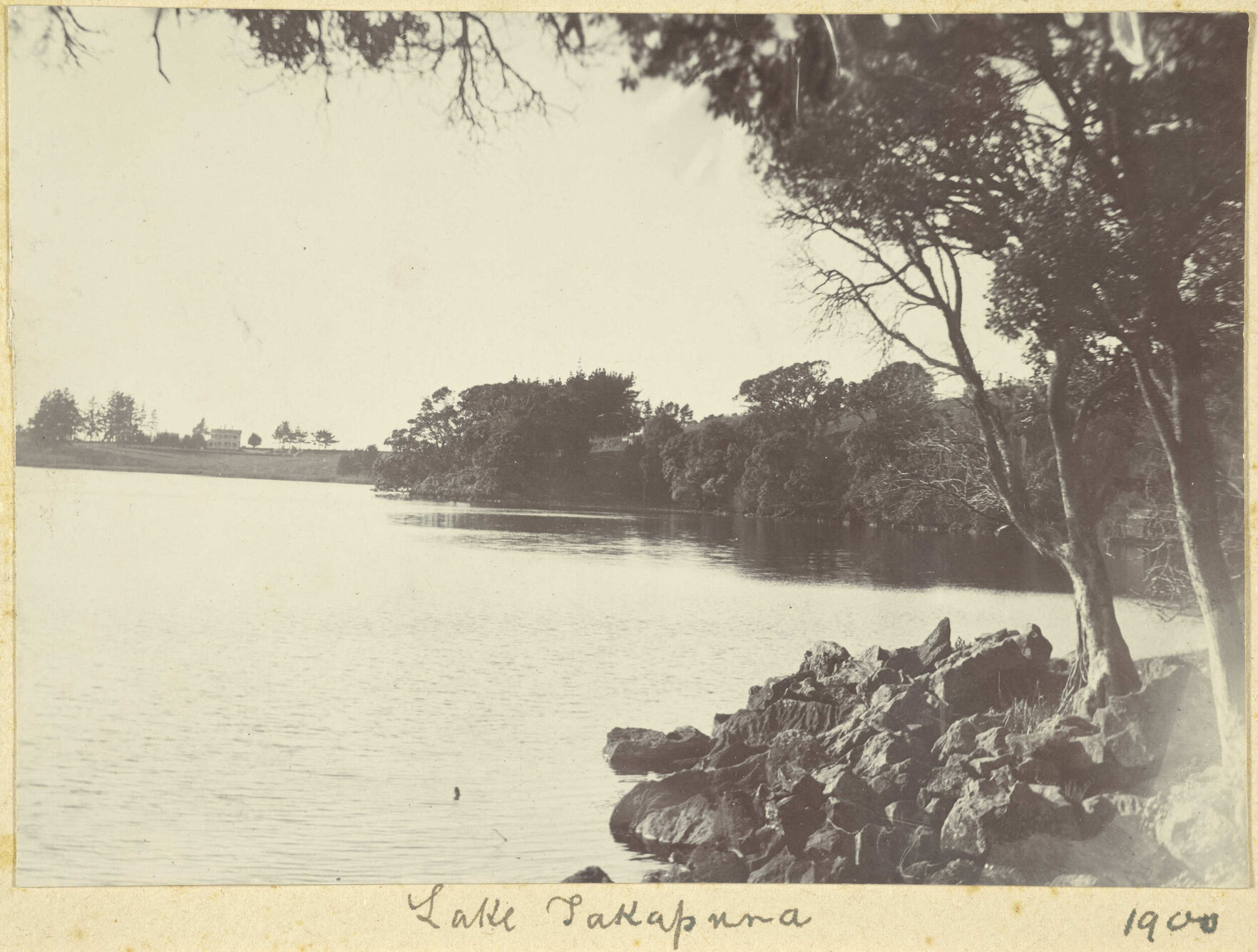 Lake Pupuke, Auckland