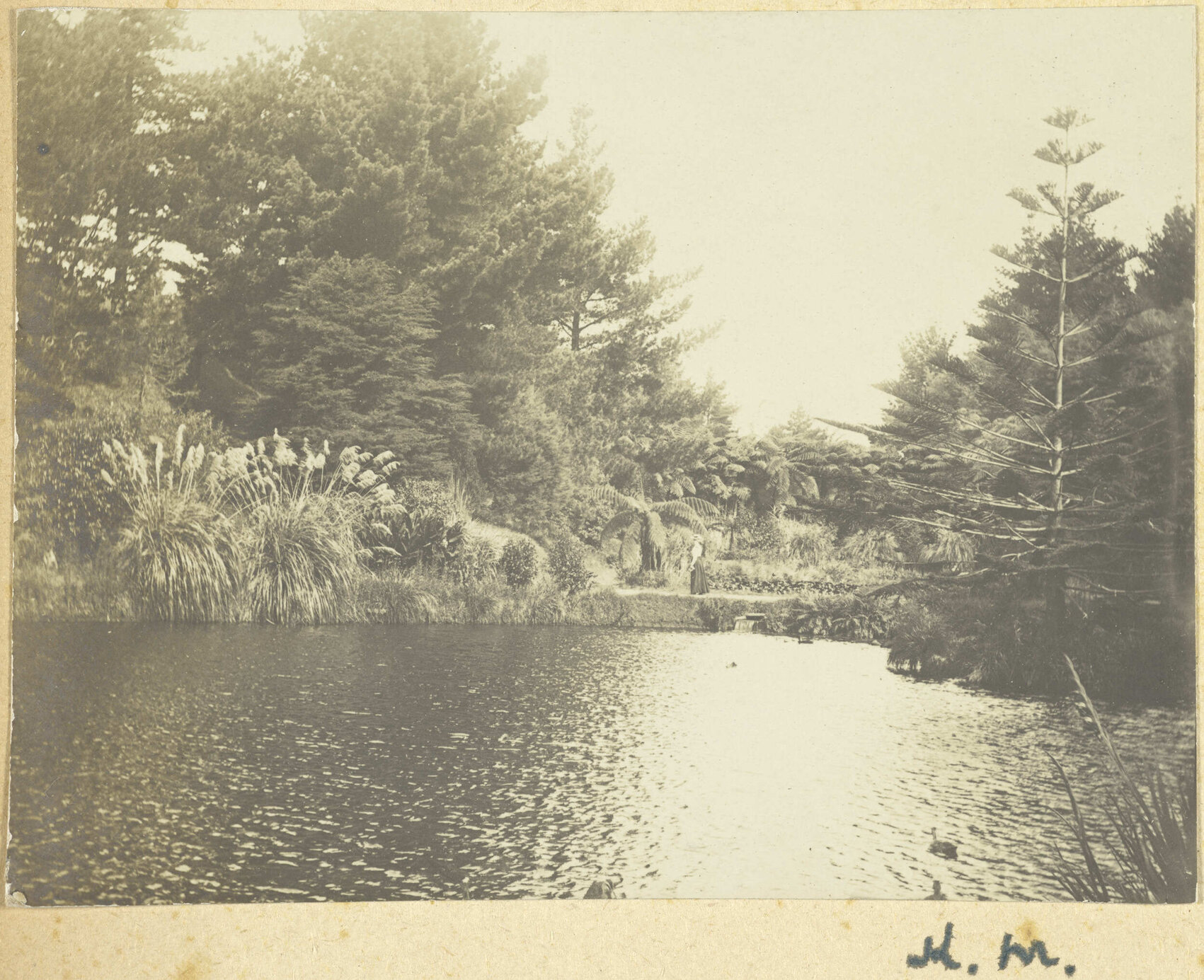Pond