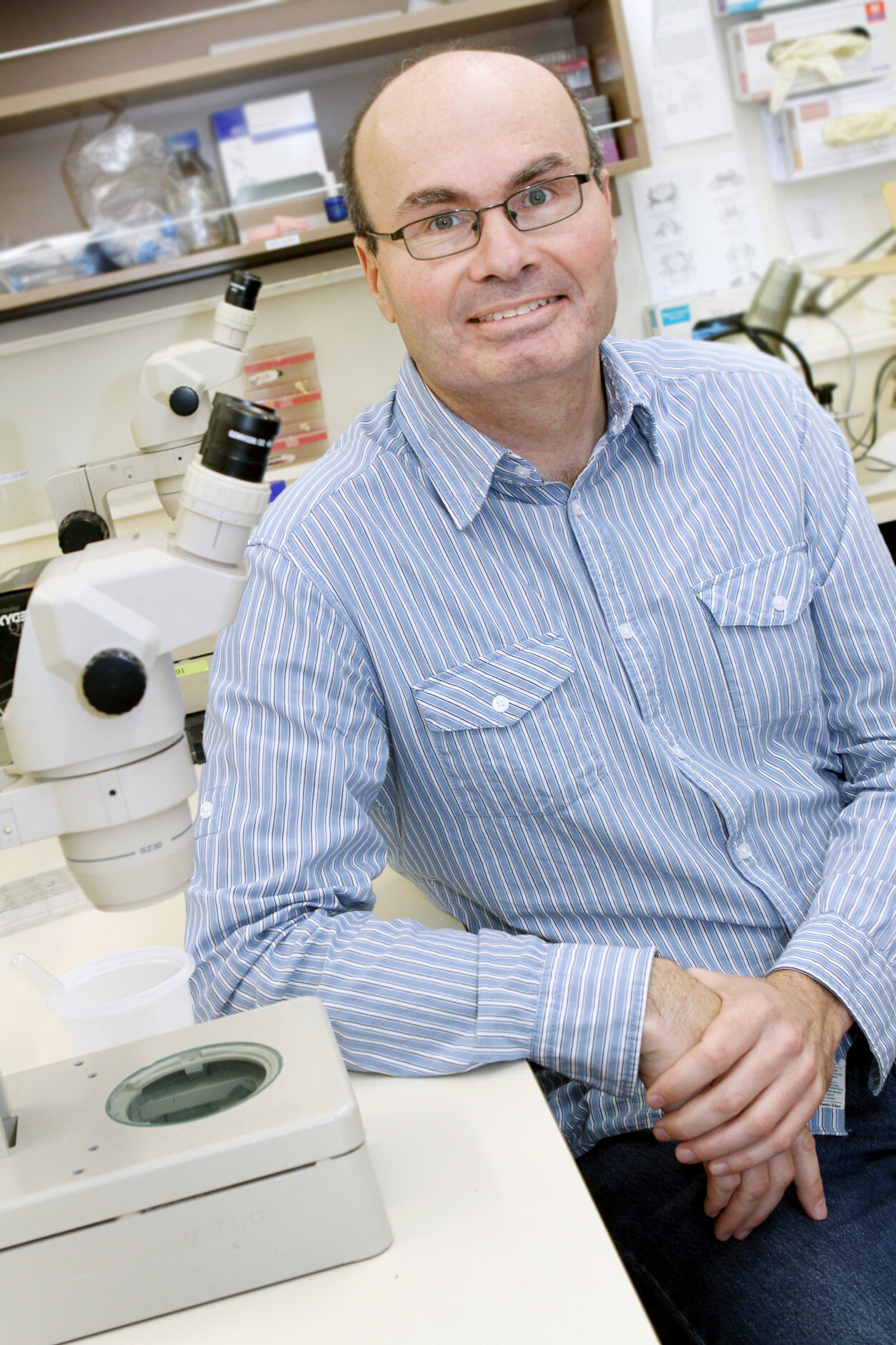 Professor Robert Poulin