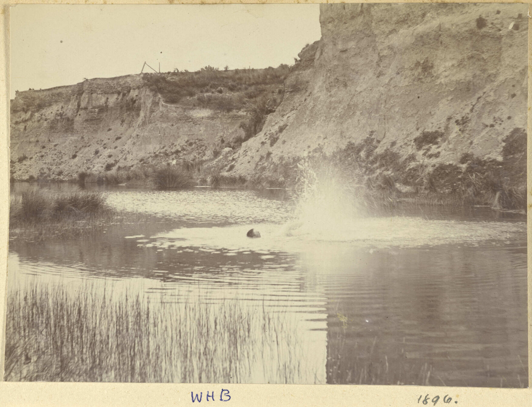William Harold Buckland swimming at O'Connell's Lagoon